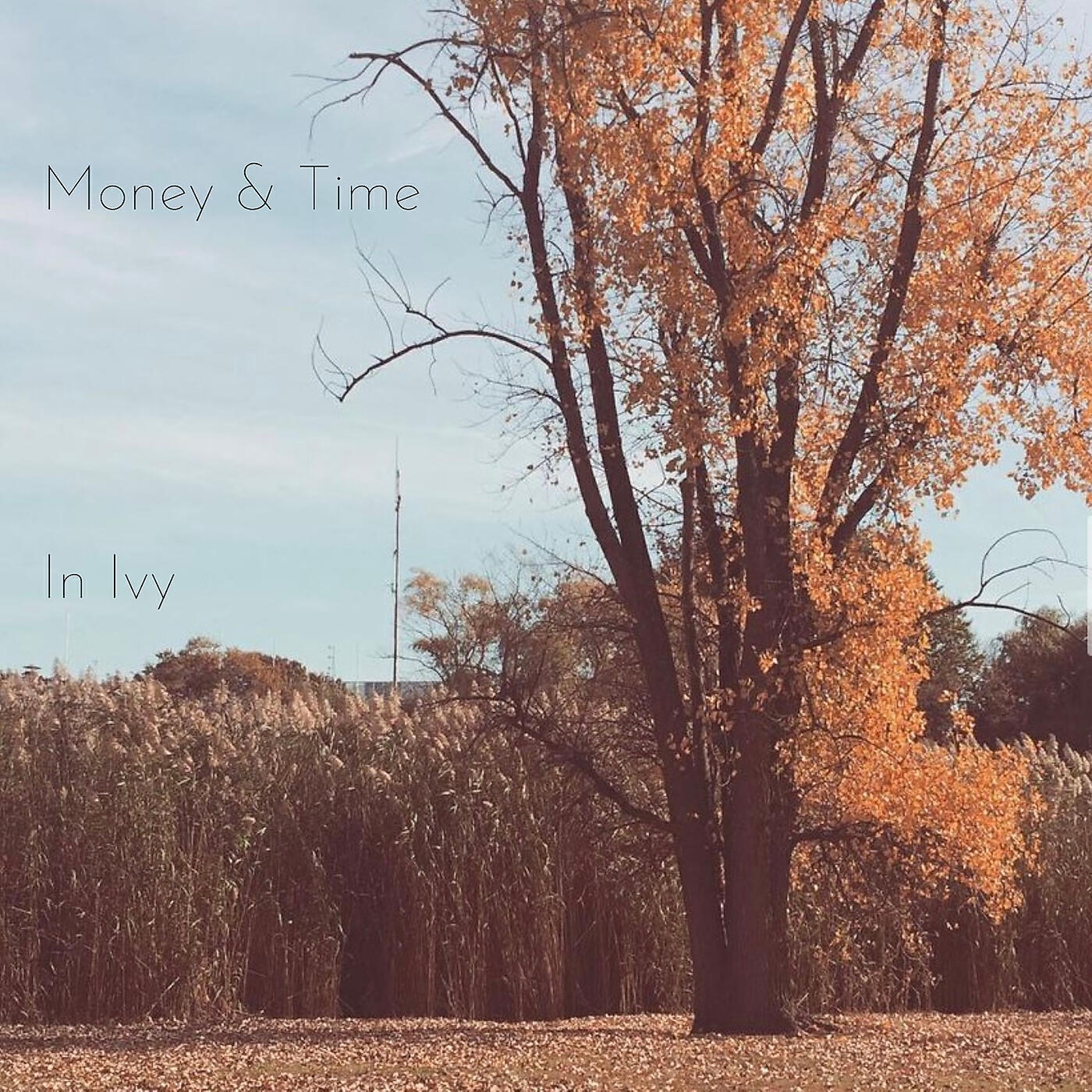 Релиз Money & Time