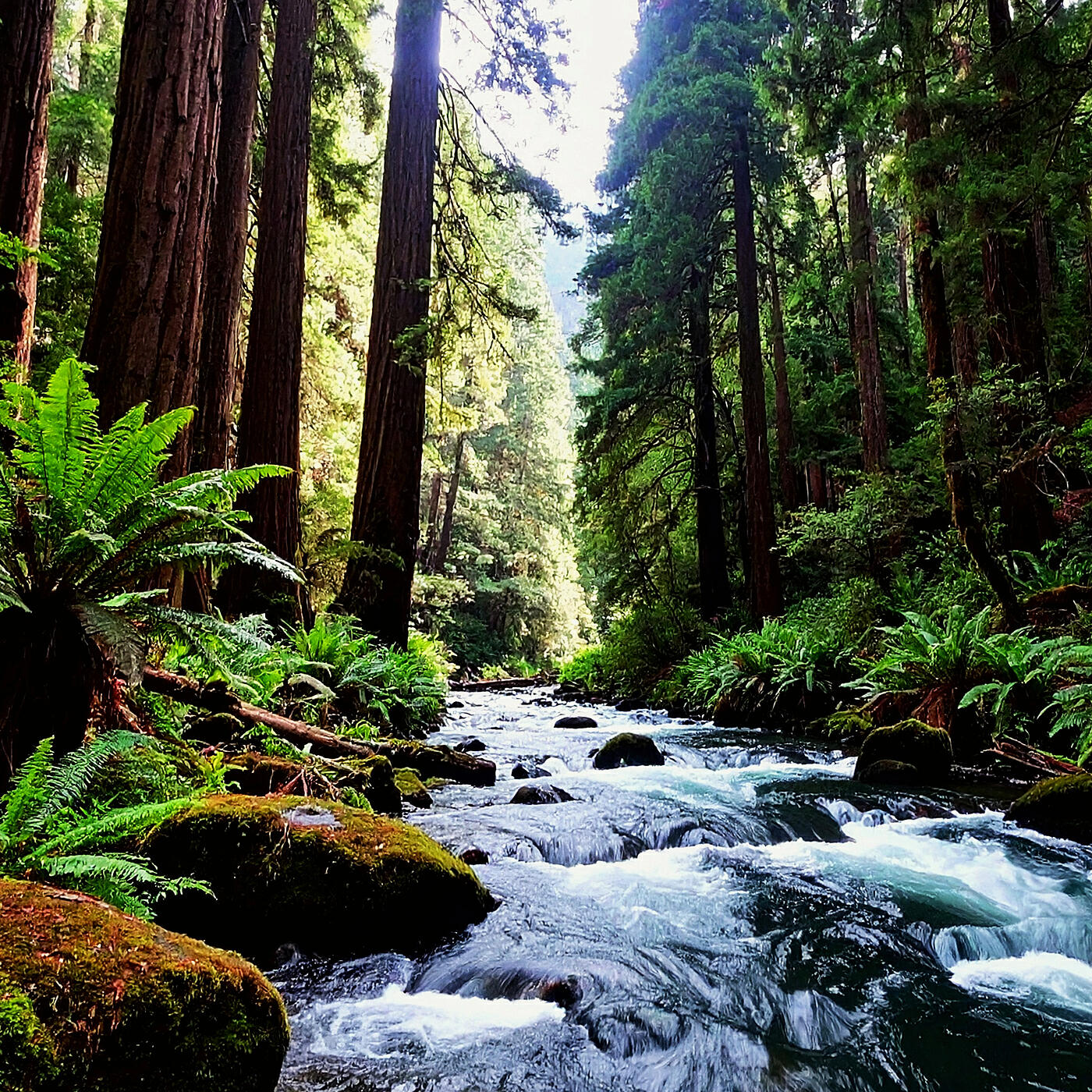 Релиз Whispering River