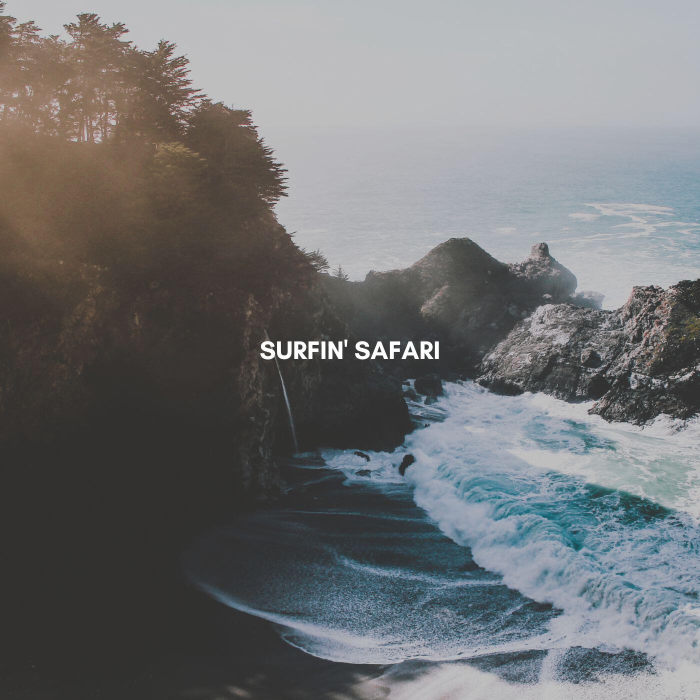 Релиз Surfing Safari
