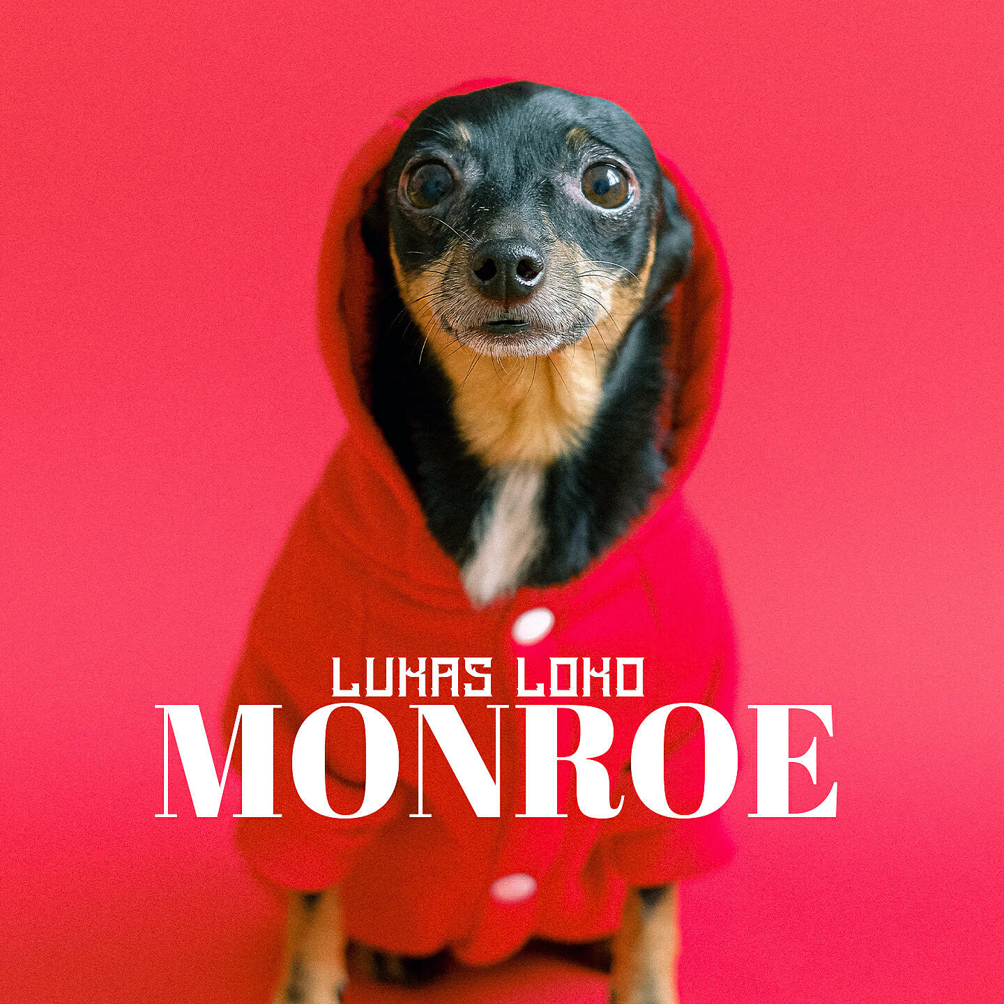 Релиз Monroe
