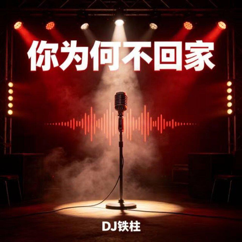 Релиз 你为何不回家