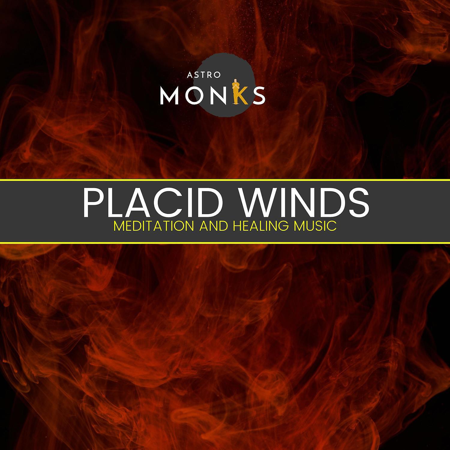 Релиз Placid Winds - Meditation and Healing Music