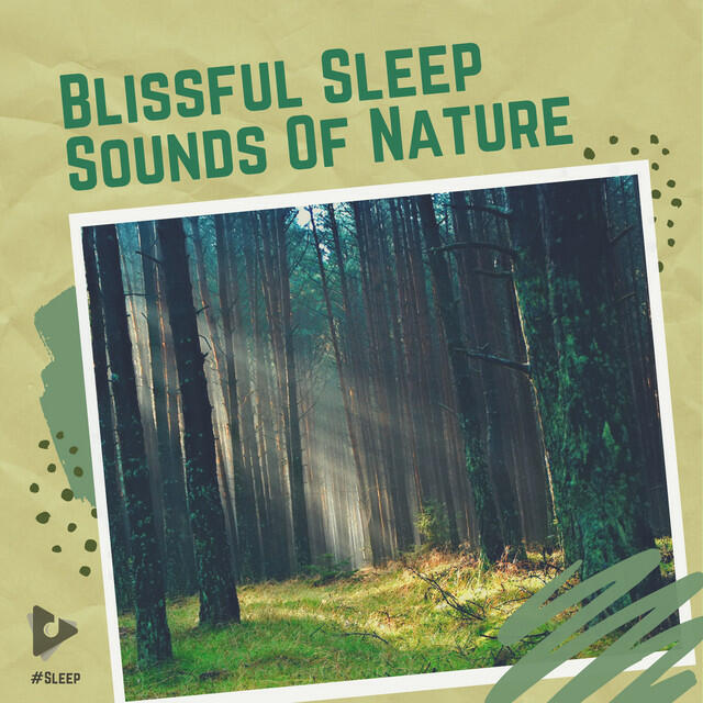 Релиз Blissful Sleep Sounds of Nature