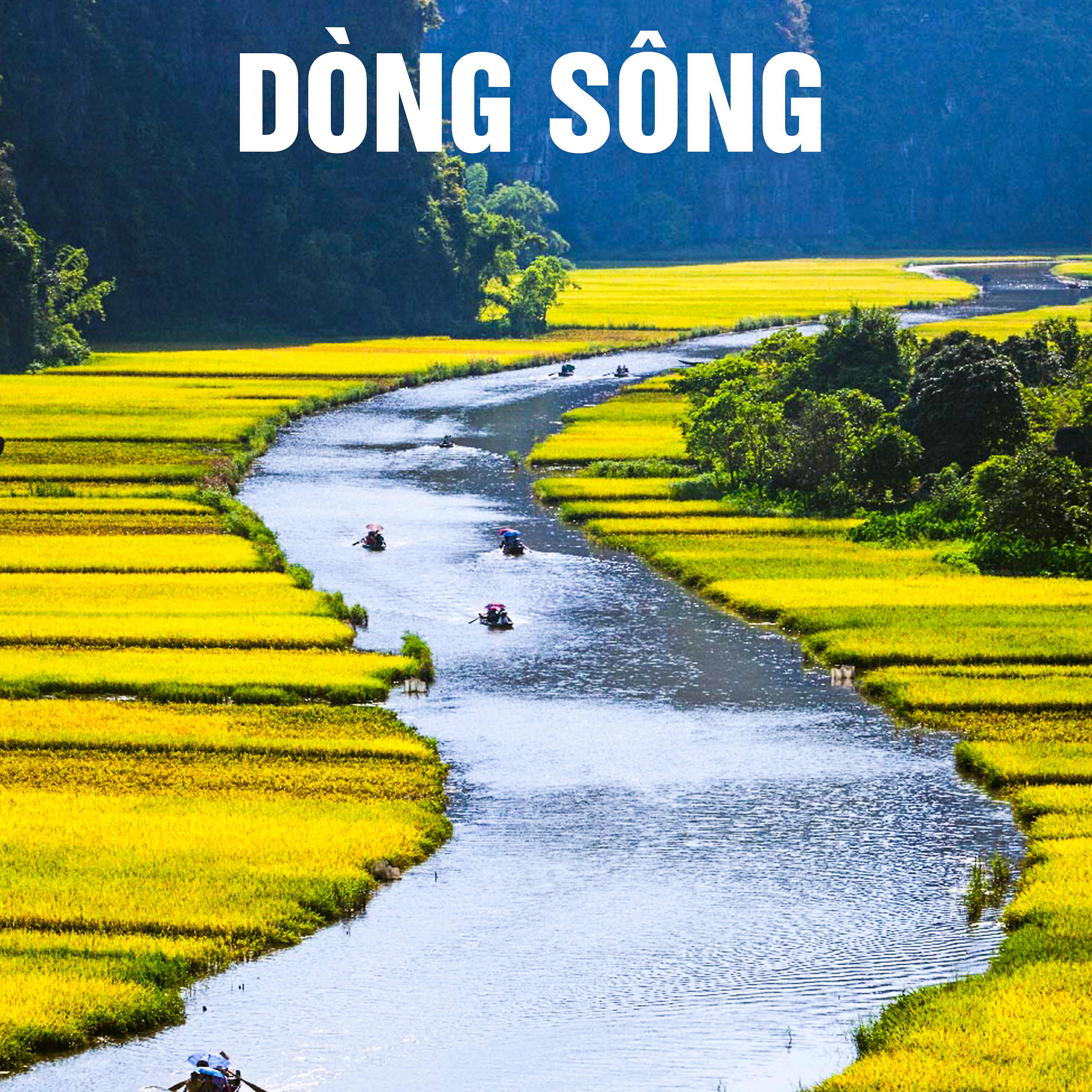 Трек Ước mơ của Người