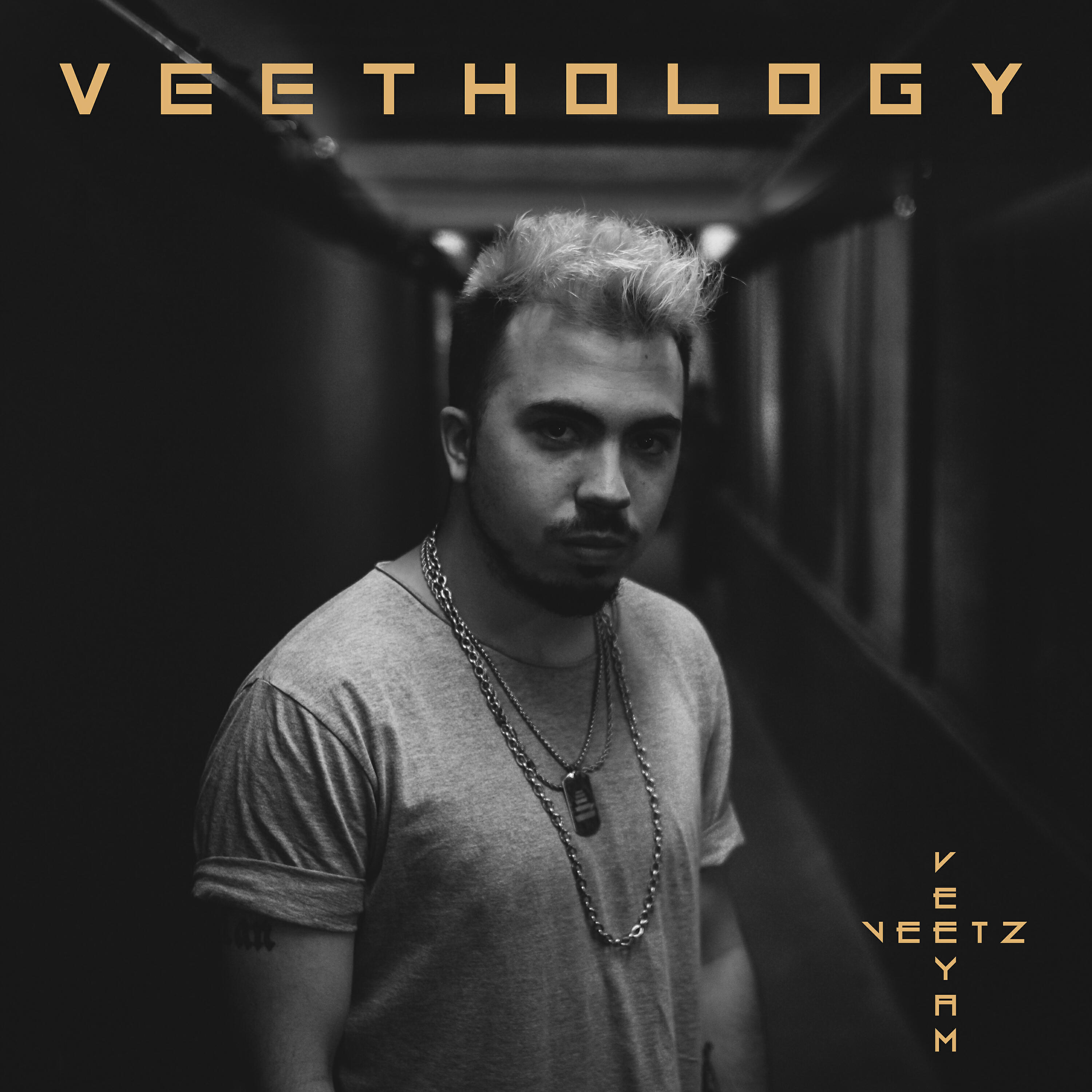Постер альбома Veethology