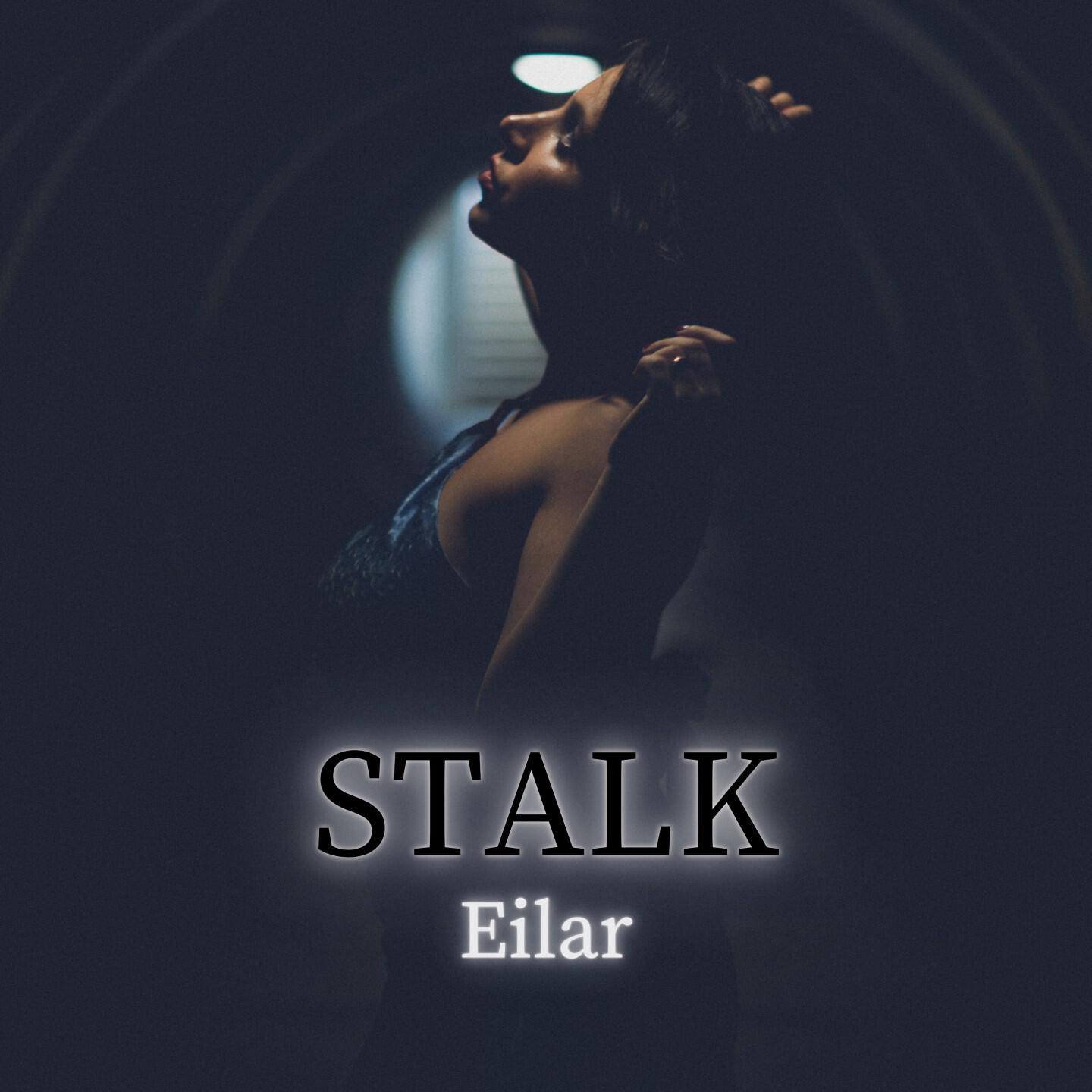 Релиз STALK