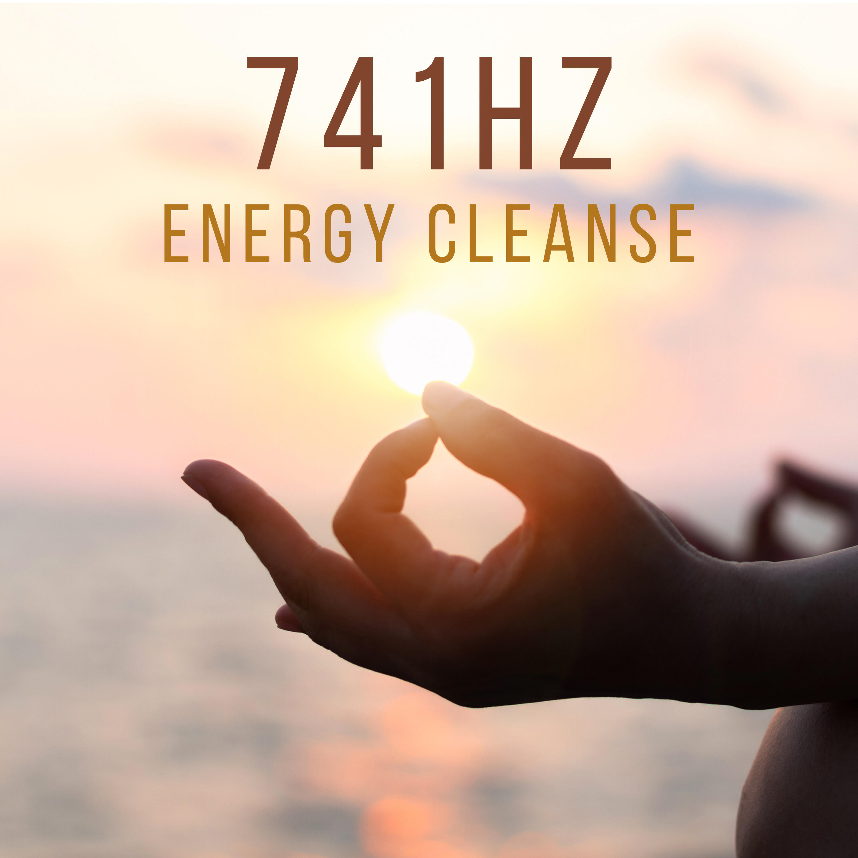 Релиз 741 Energy Cleanse