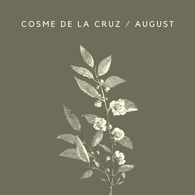 Релиз August