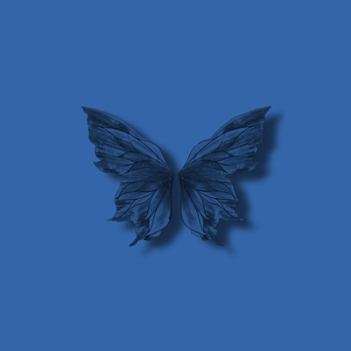 Релиз Reborn (Mixes)