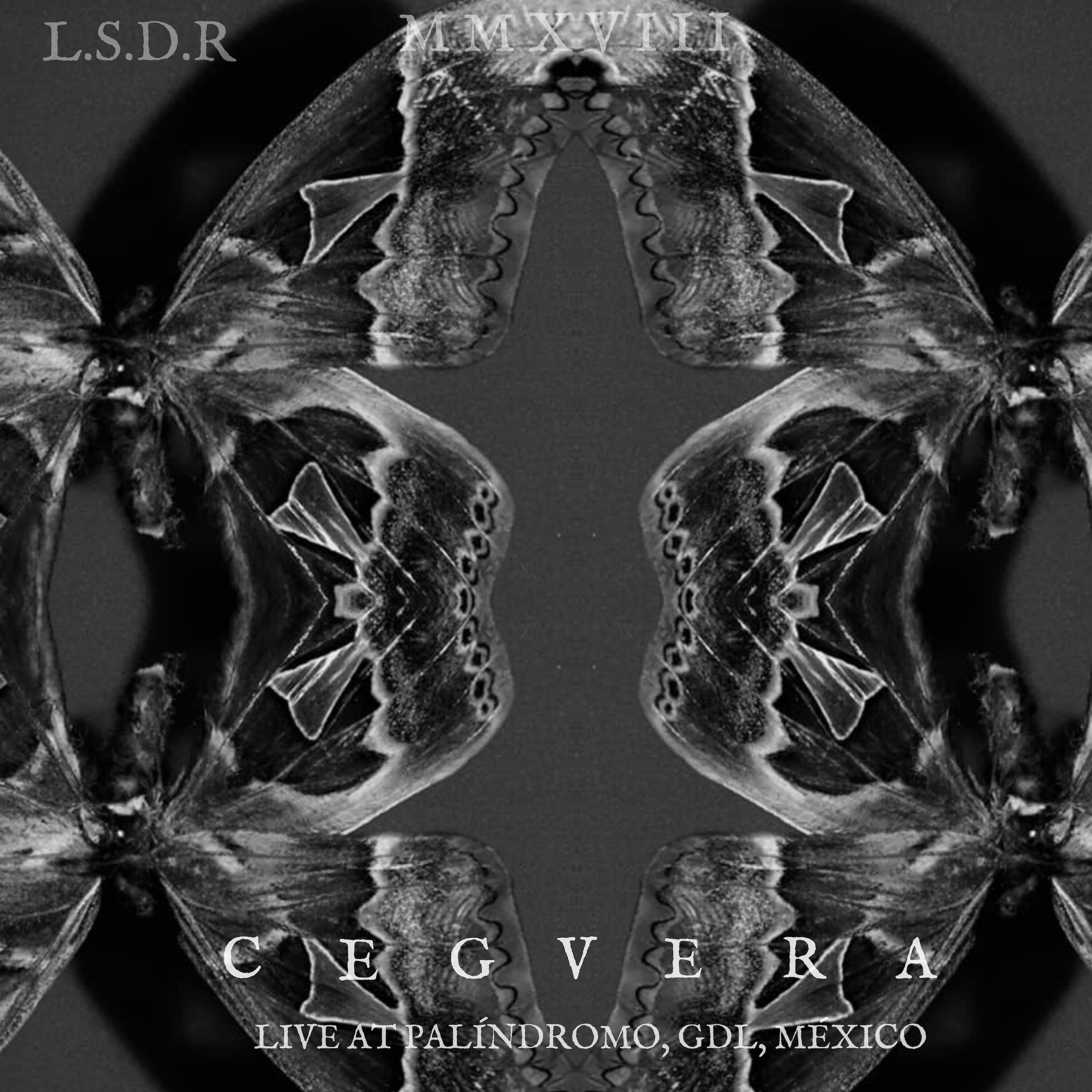 Релиз Live at Palíndromo (LSDR - MMXVIII)