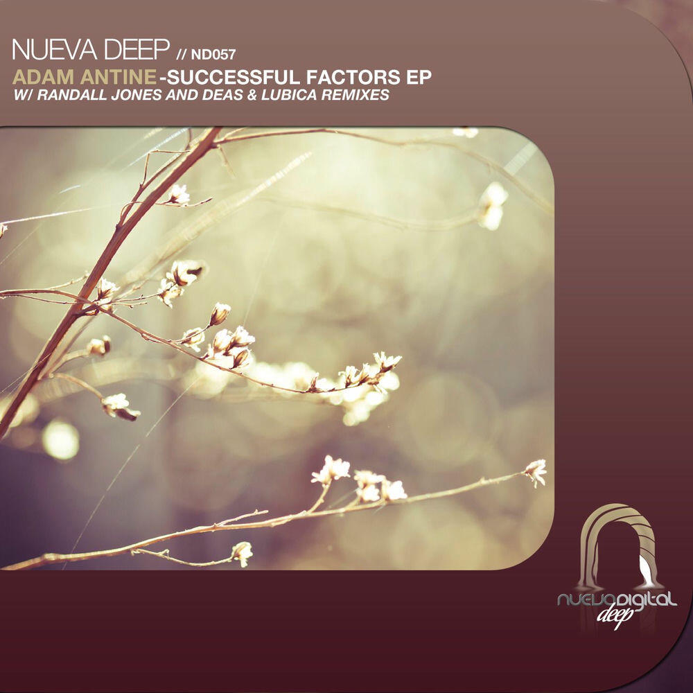 Релиз Successful Factors EP