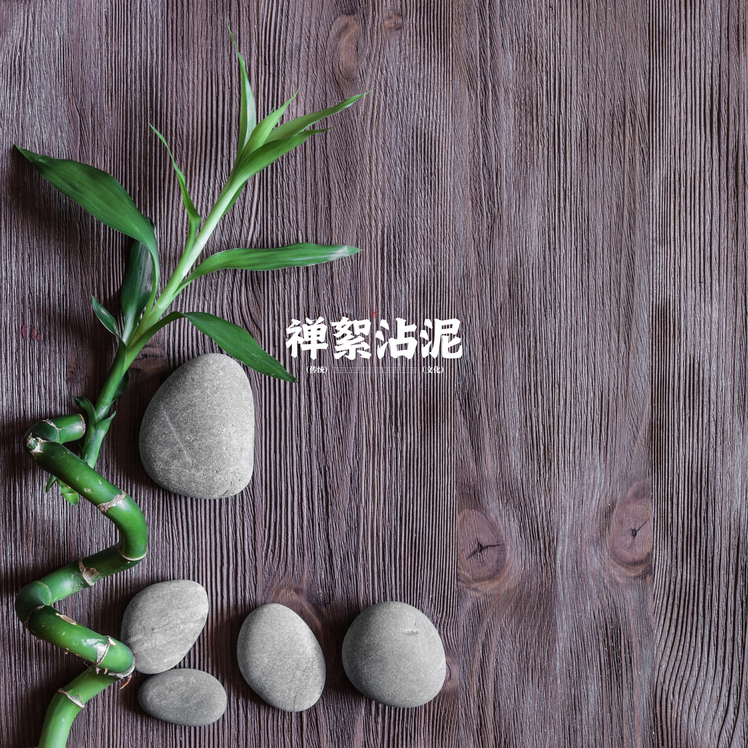Релиз 禅絮沾泥