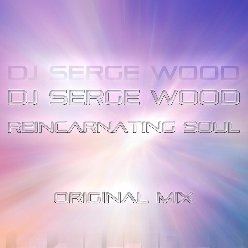 Релиз Reincarnating Soul