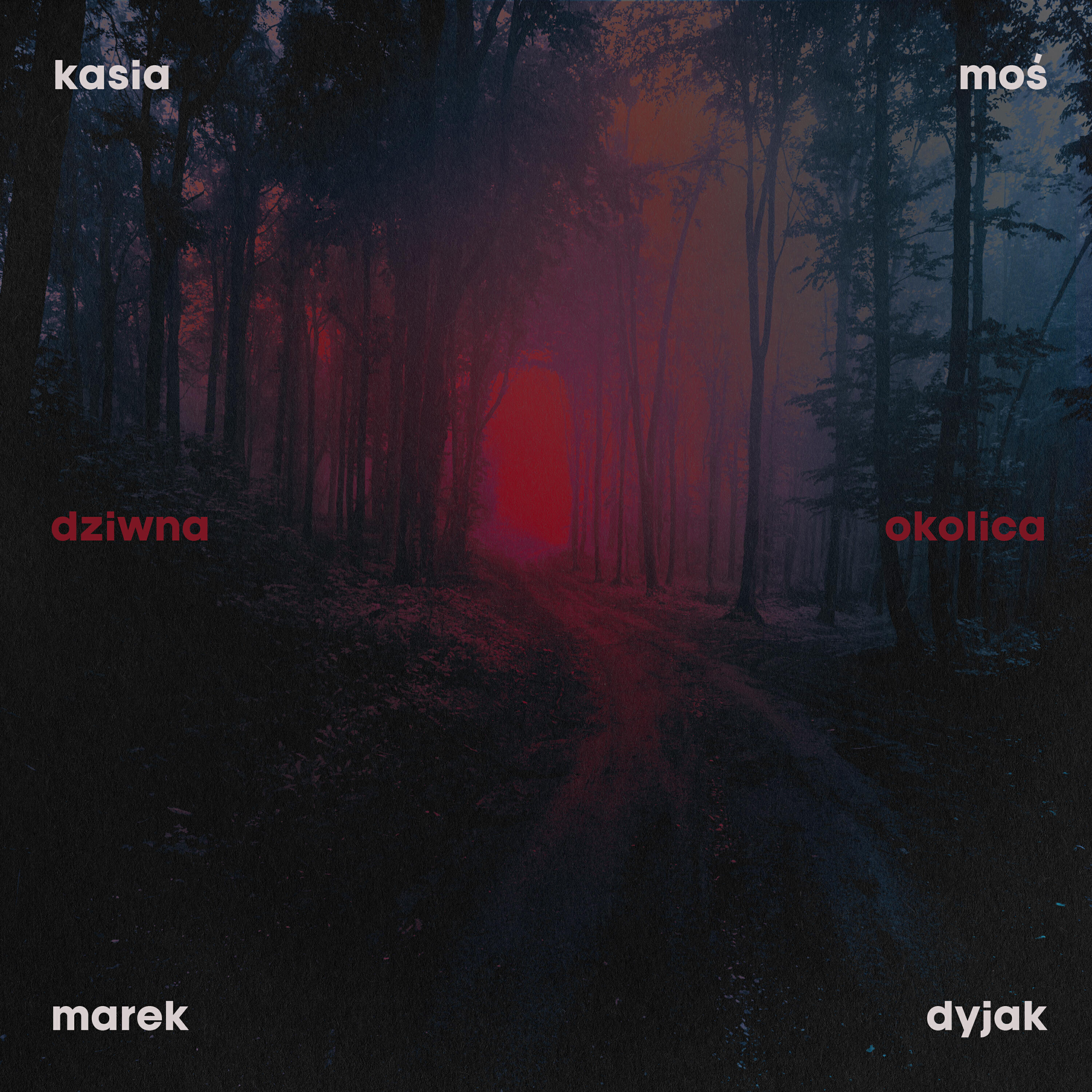 Постер альбома Dziwna okolica