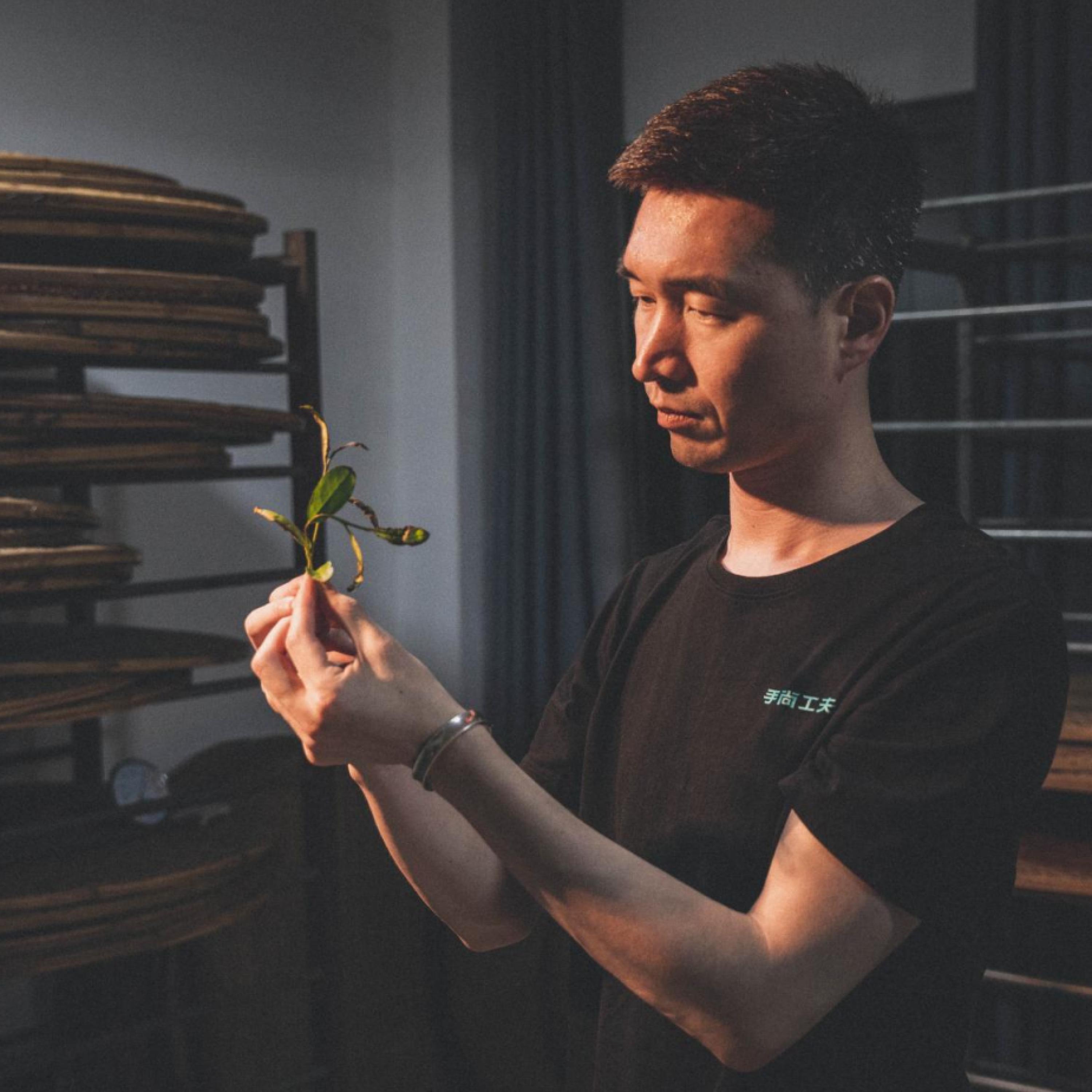 Релиз 远香飘近