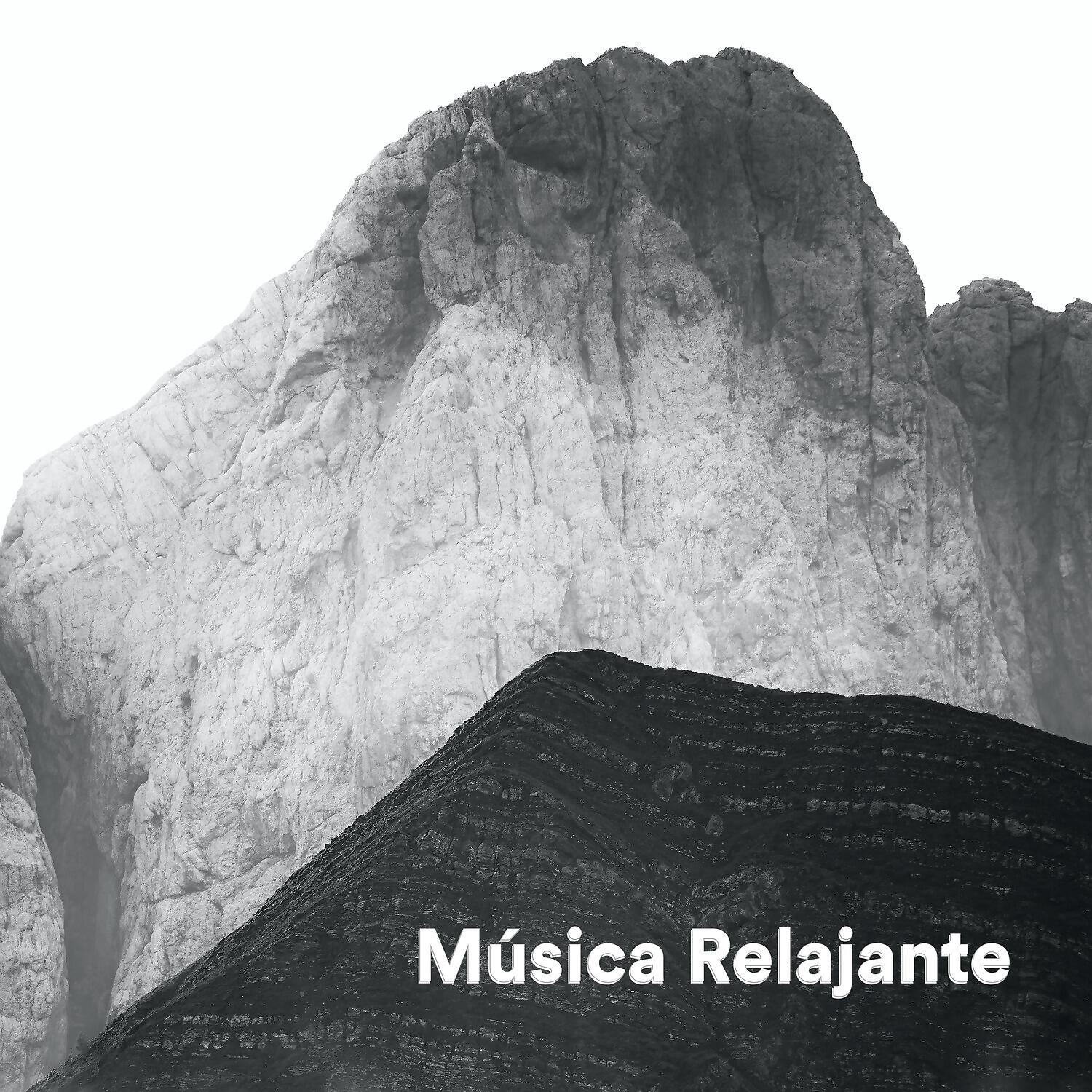 Постер альбома Música Relajante
