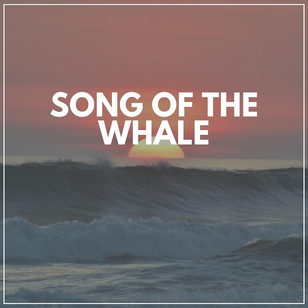 Релиз Song of the Whale