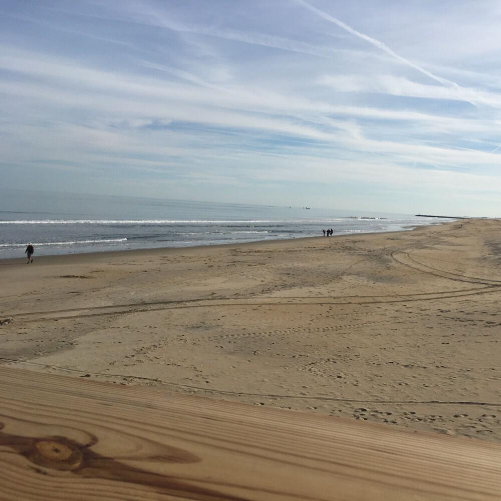 Релиз I Sit in the Bar Virginia Beach Drink Beer on the Pier