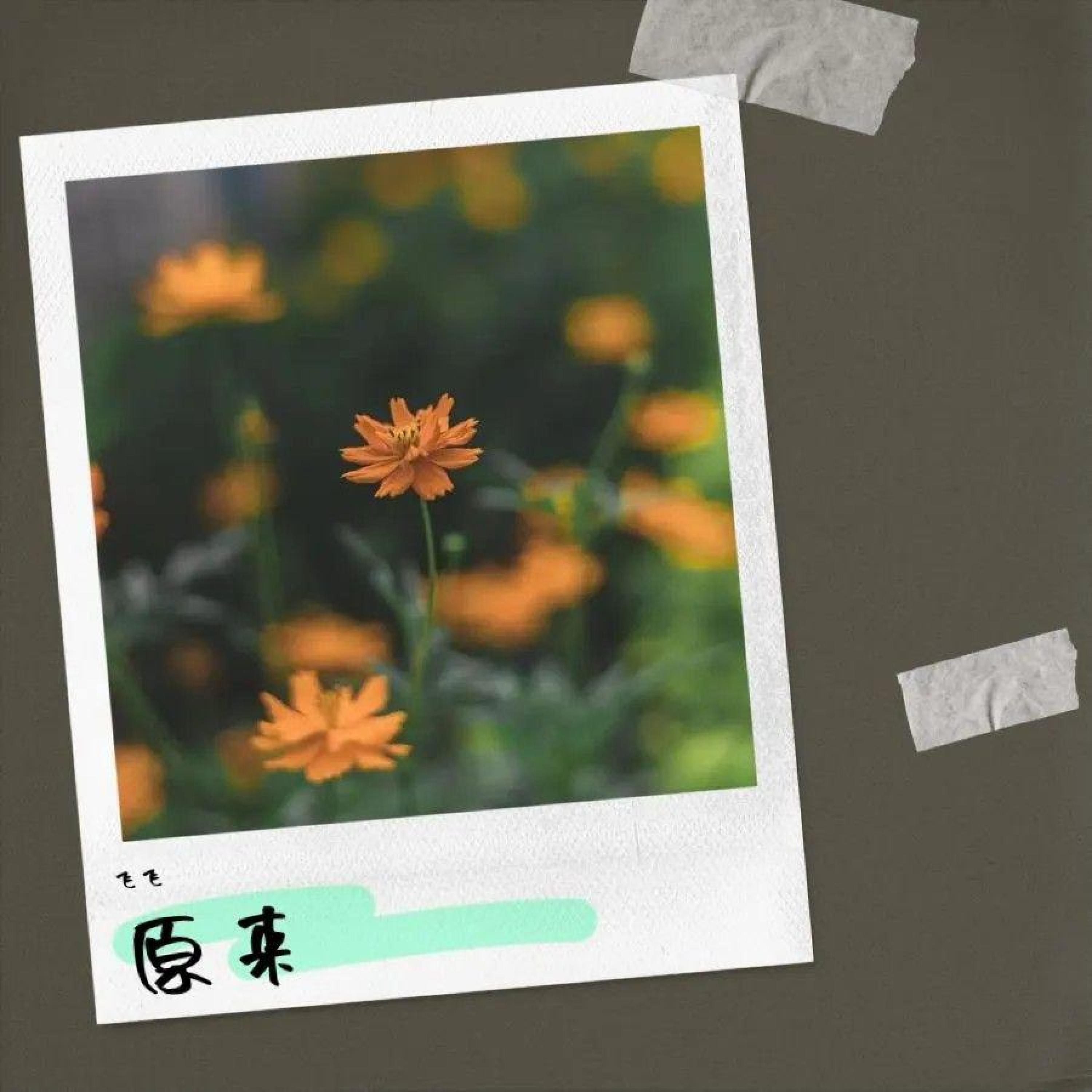 Релиз 原创集