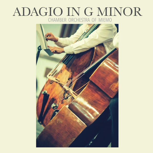 Chamber Orchestra of Miemo