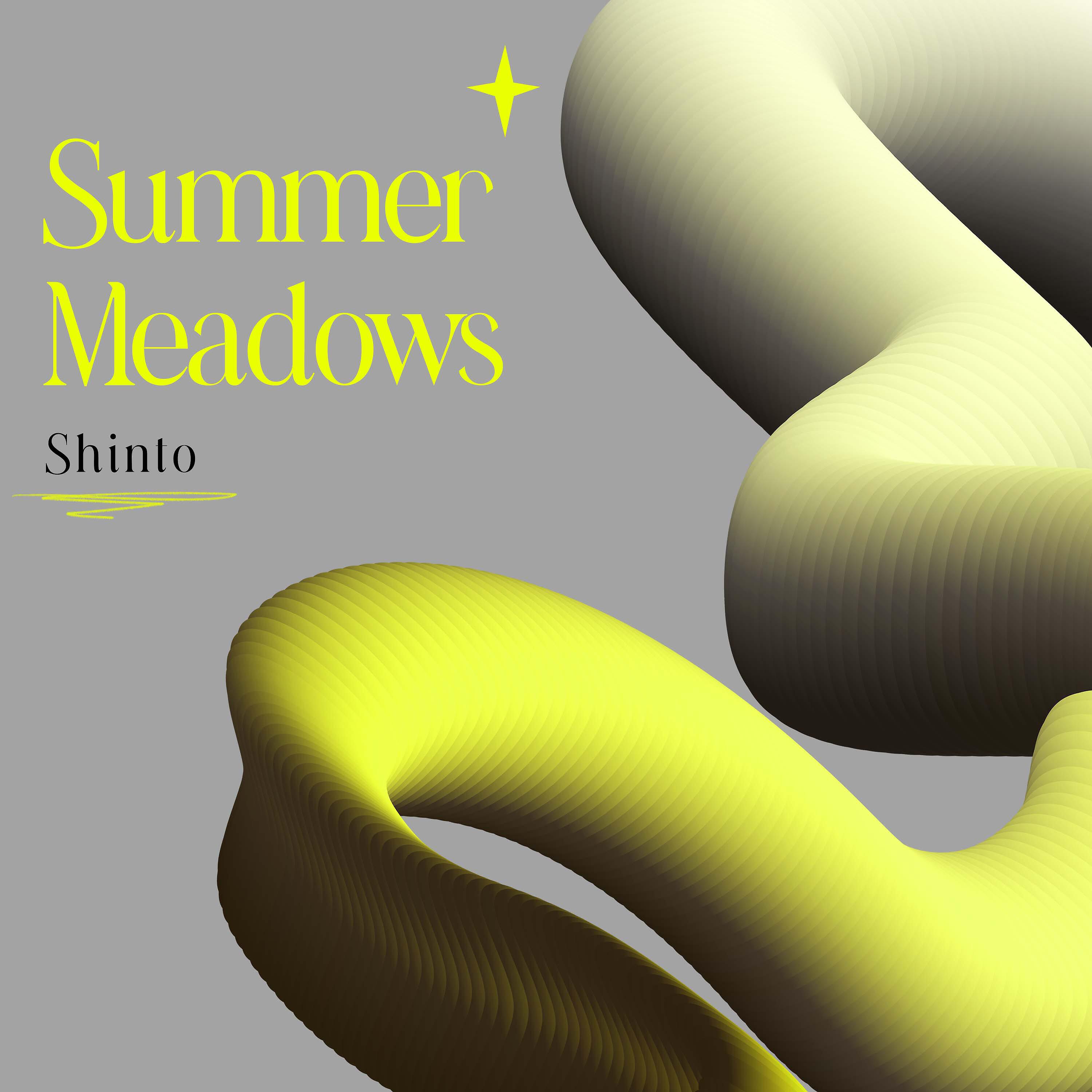 Релиз Summer Meadows