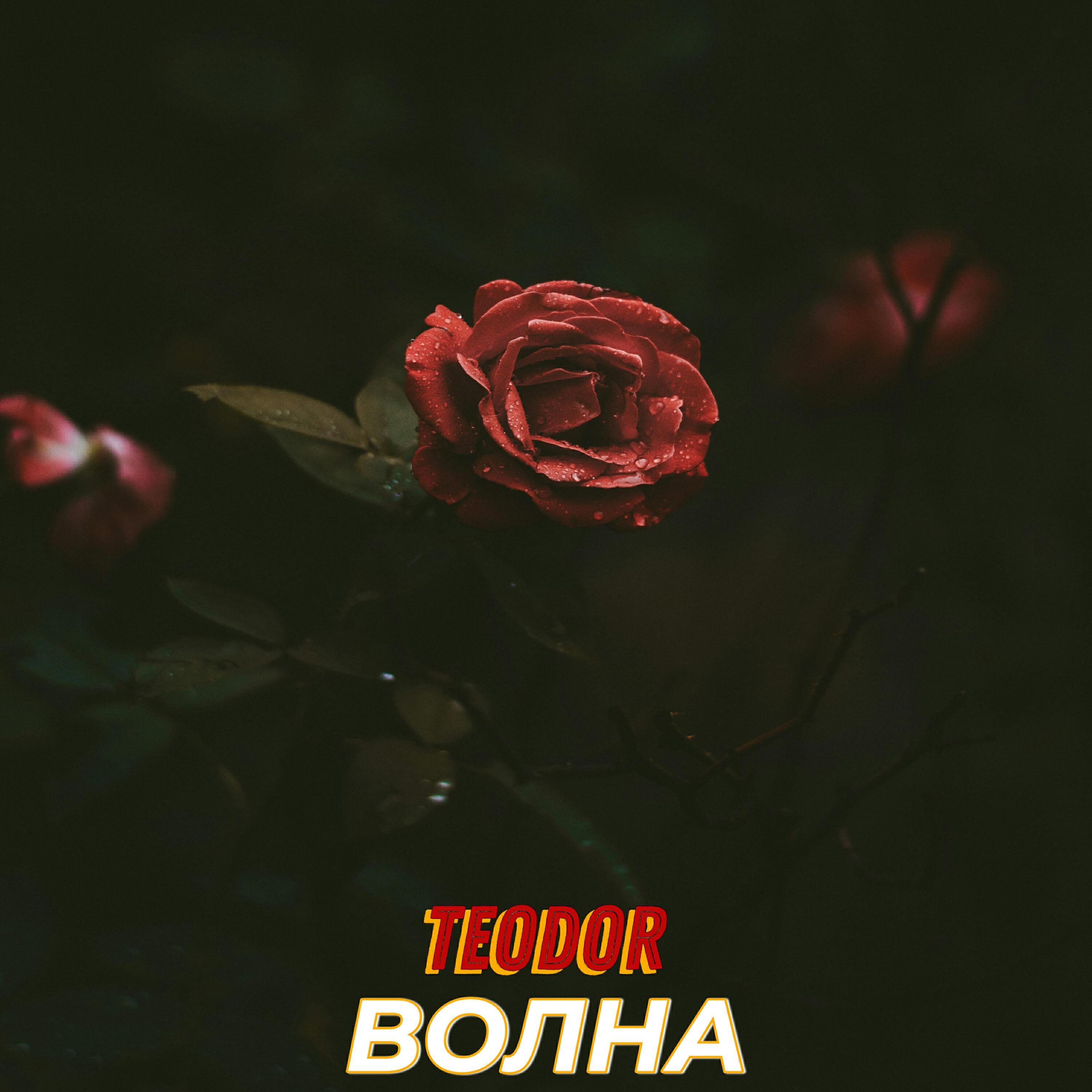 Теодор