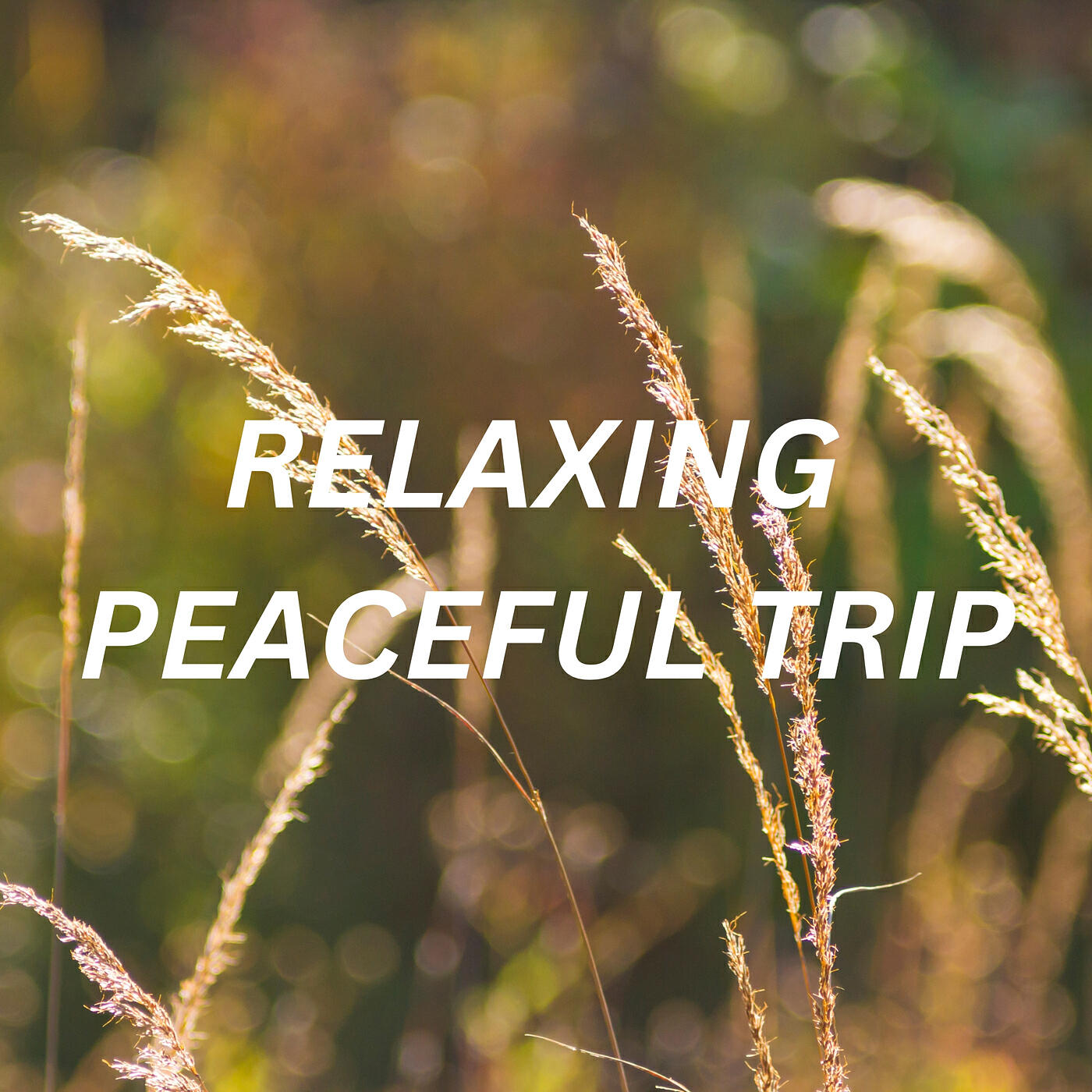 Релиз Relaxing Peaceful Trip