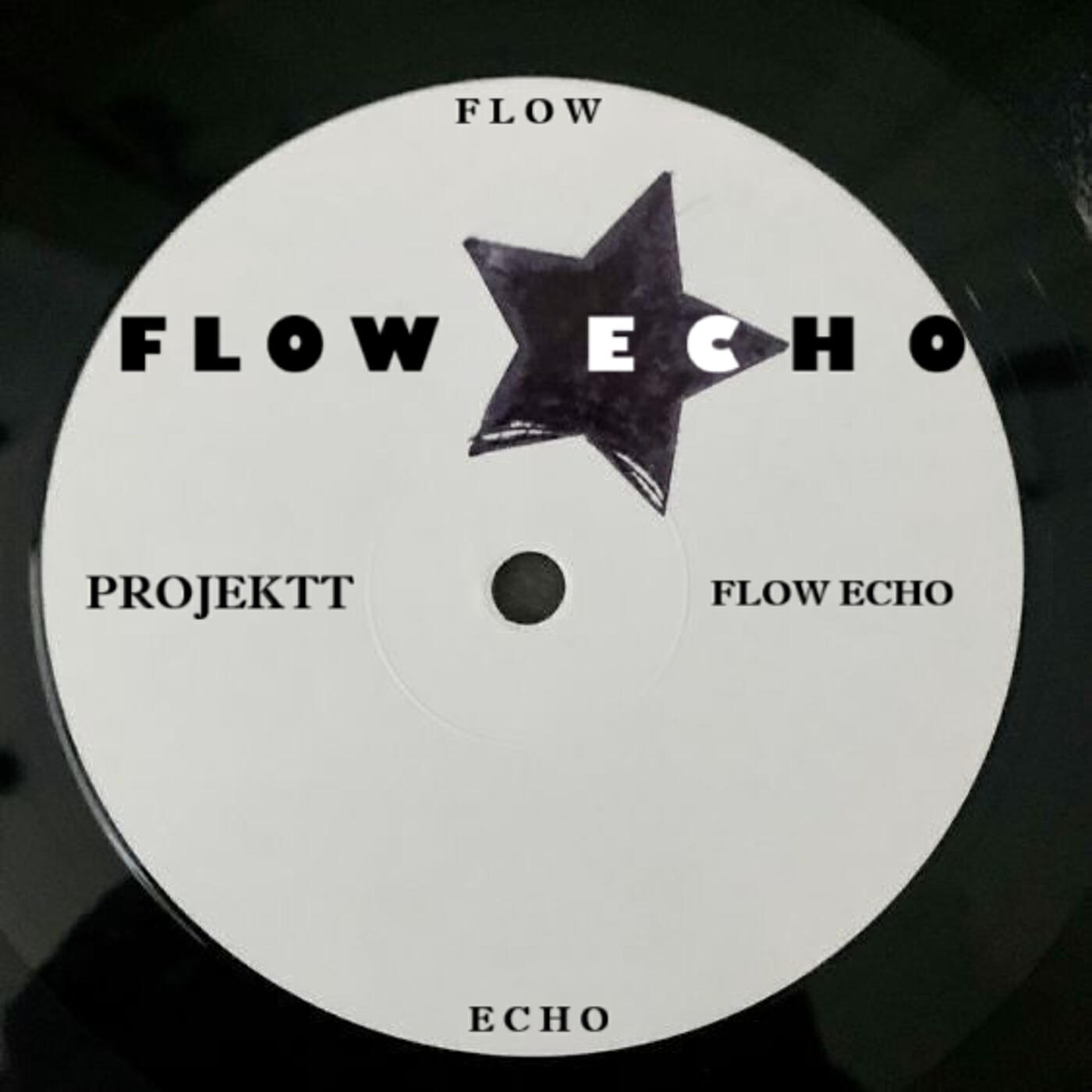 Релиз Flow Echo