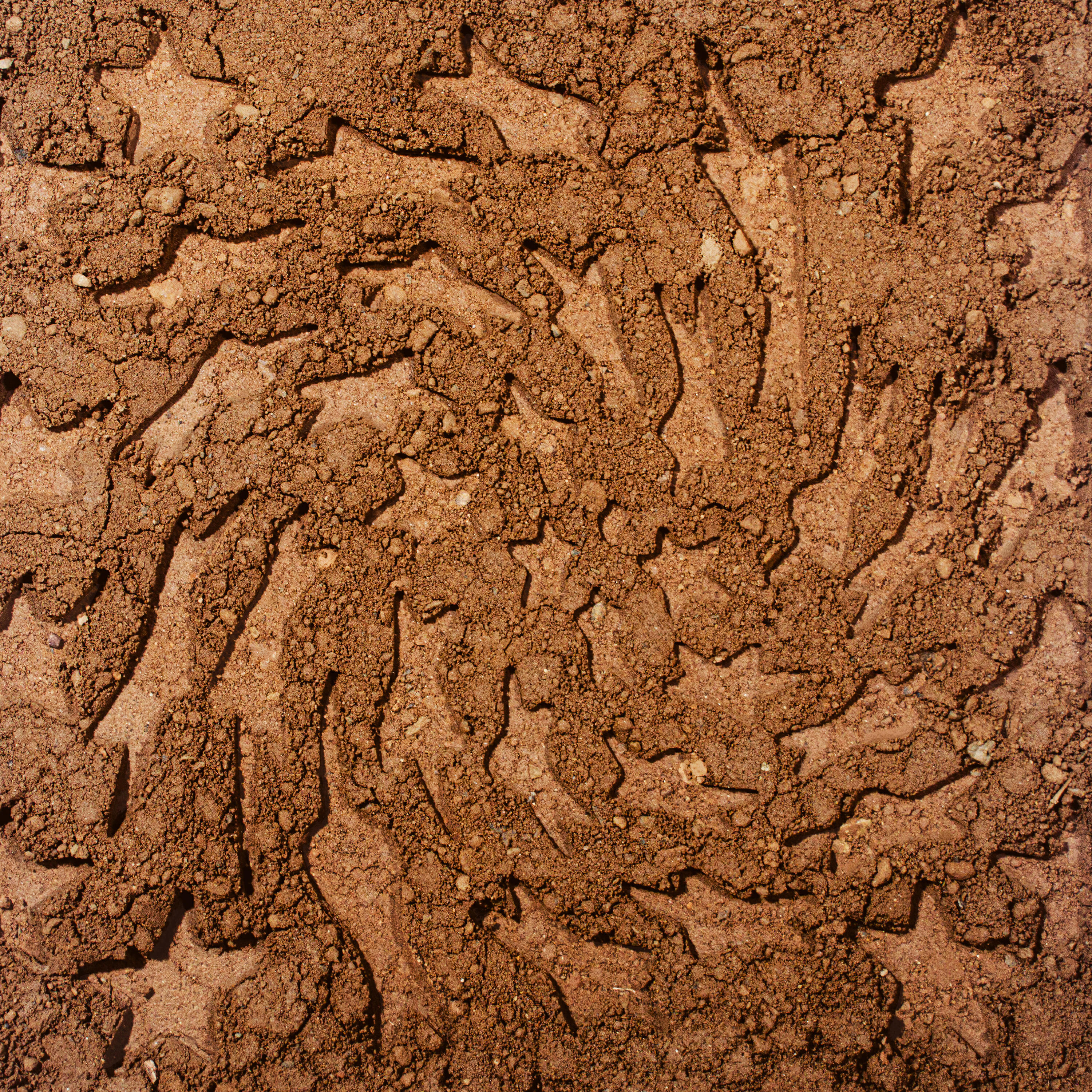 Релиз CD-R (unerthed)