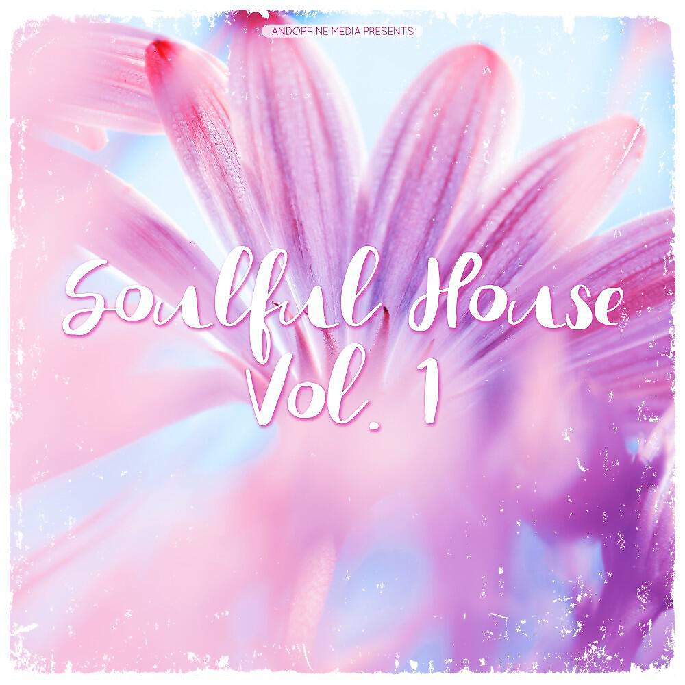 Релиз Soulful House, Vol. 1