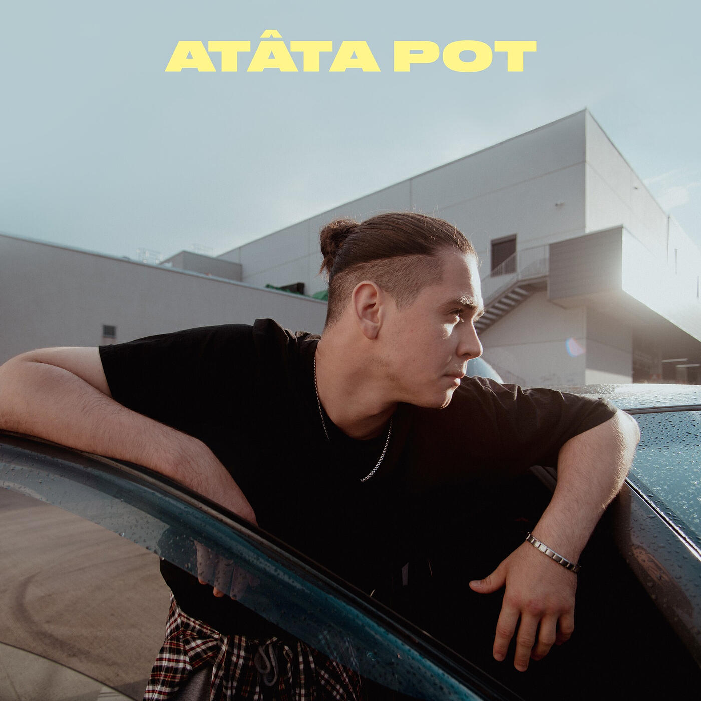 Постер альбома Atâta Pot