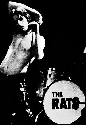Wylde Ratttz