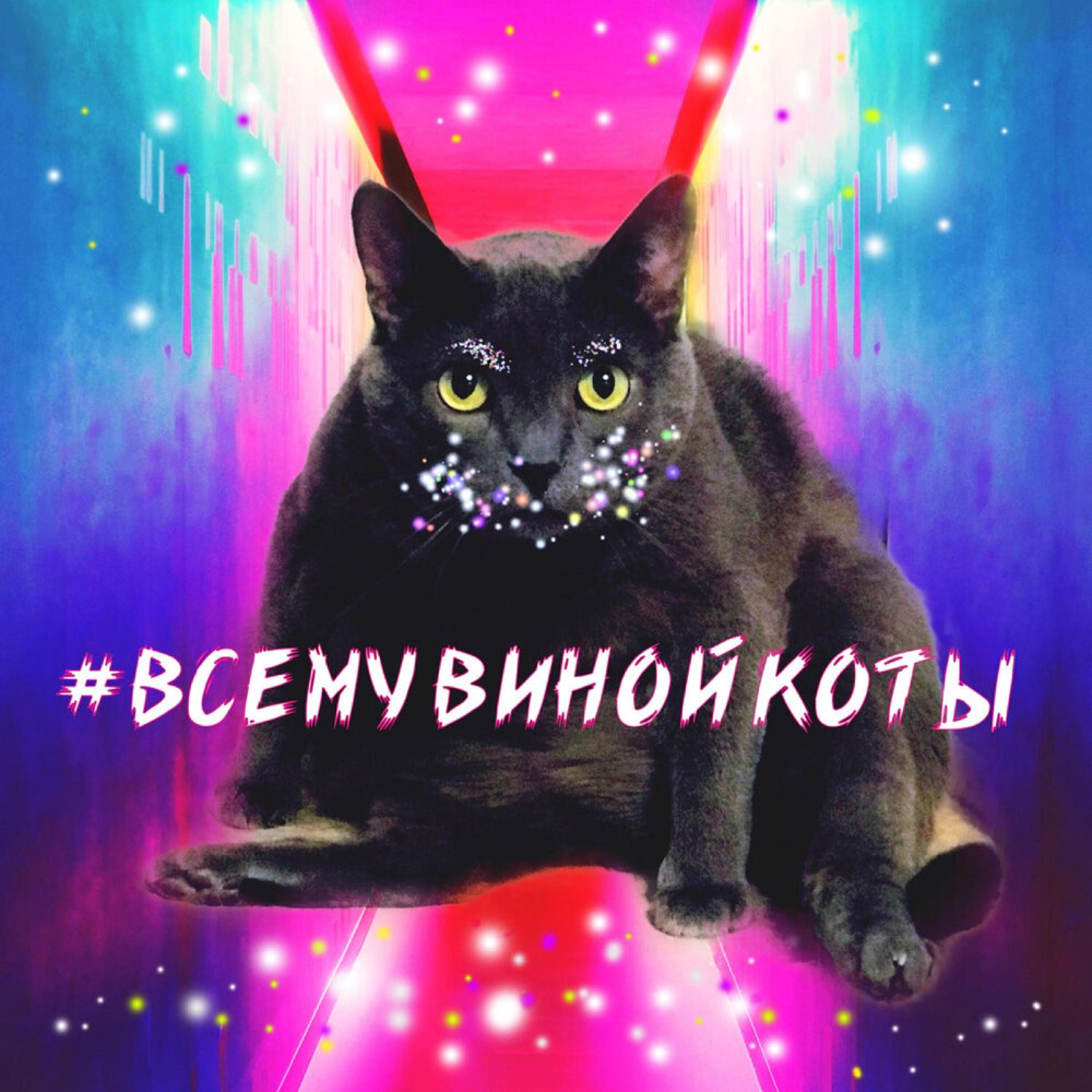 Релиз Всему виной коты