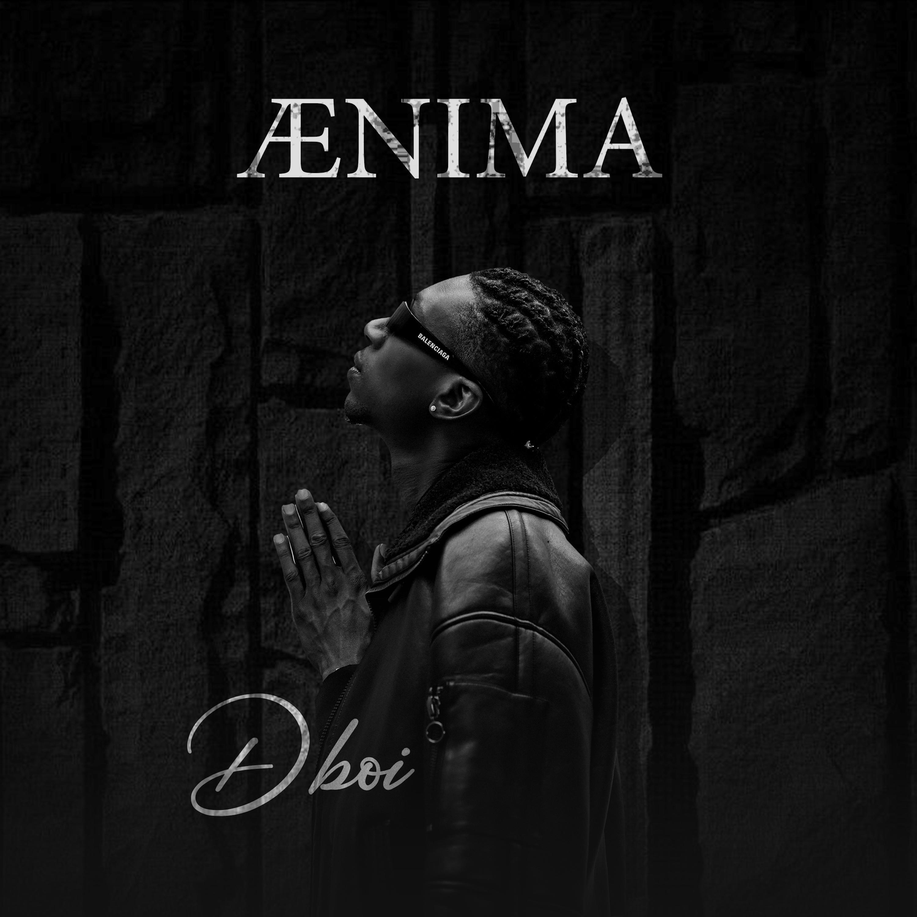 Релиз Ænima