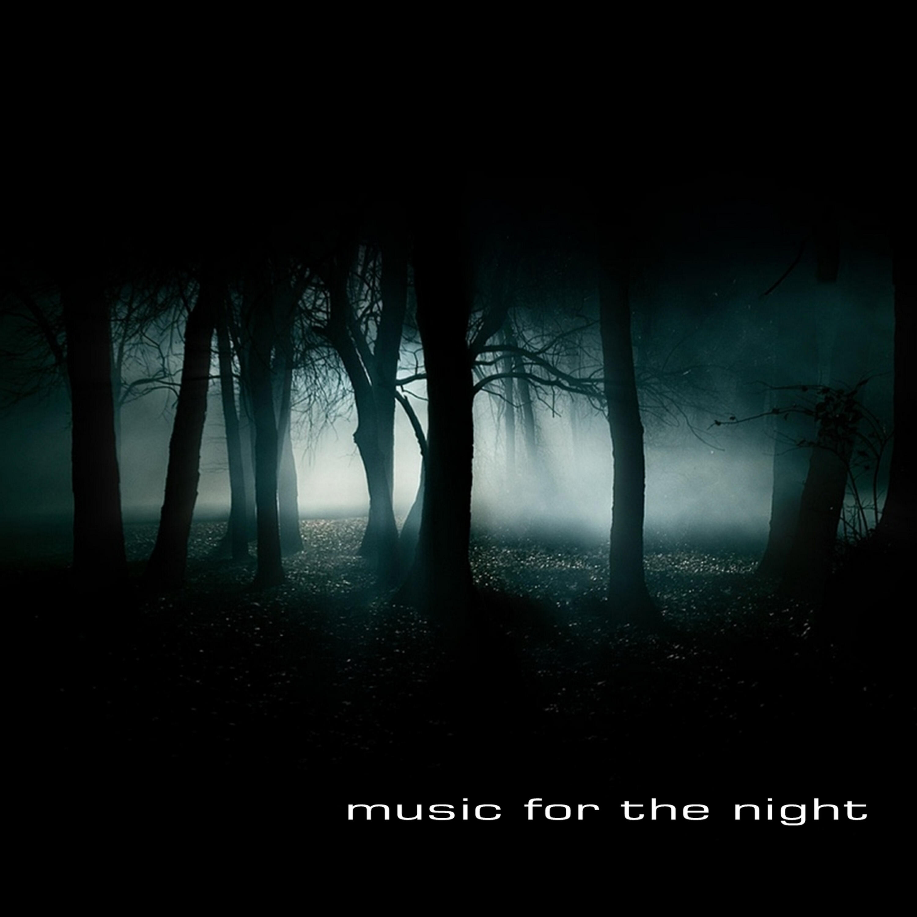 Релиз Music for the Night