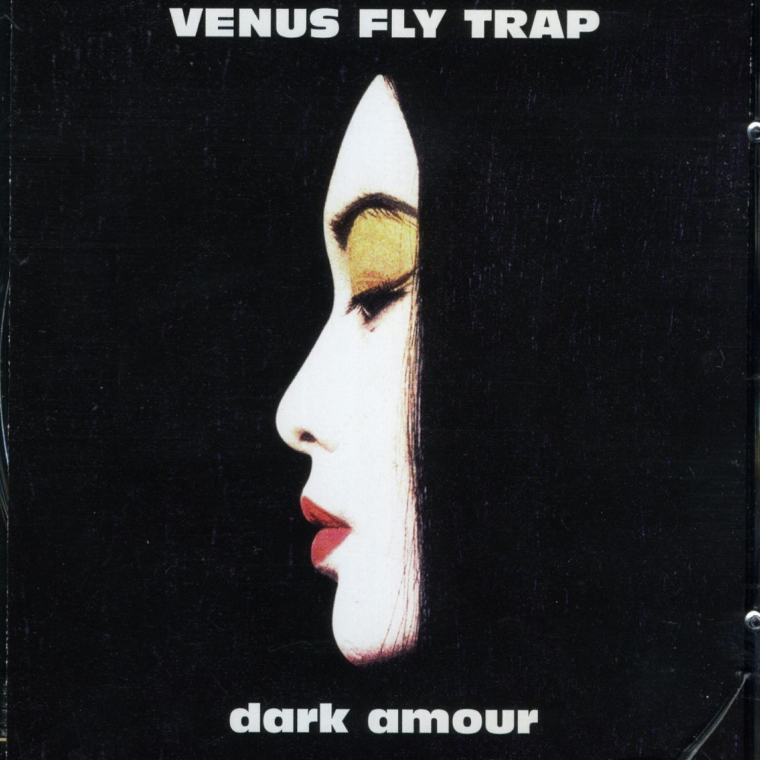 Релиз Dark Armour