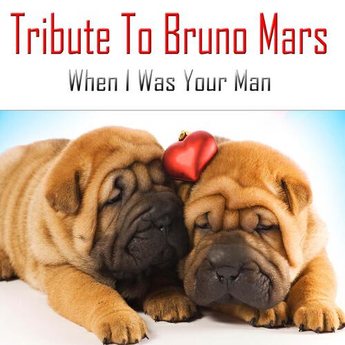 Релиз When I Was Your Man