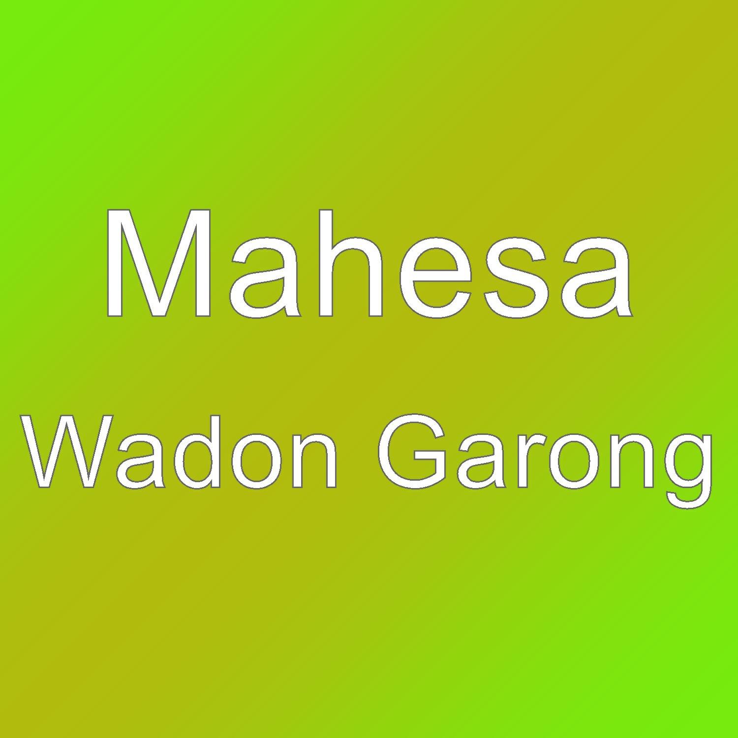 Релиз Wadon Garong