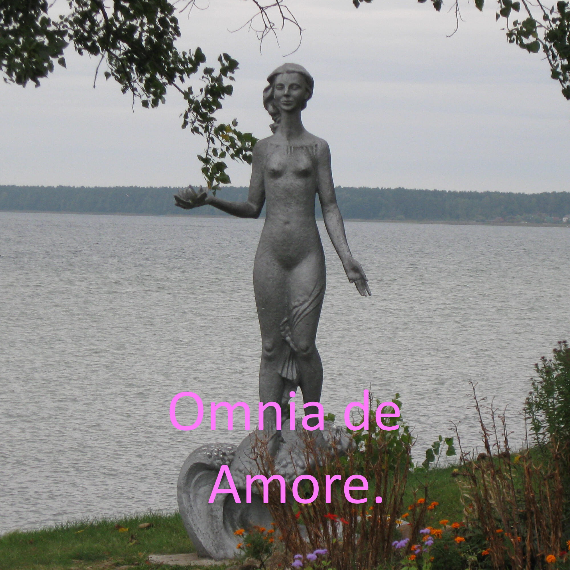 Релиз Omnia De Amore.