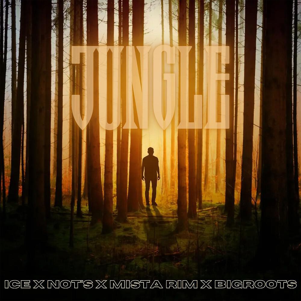 Релиз Jungle