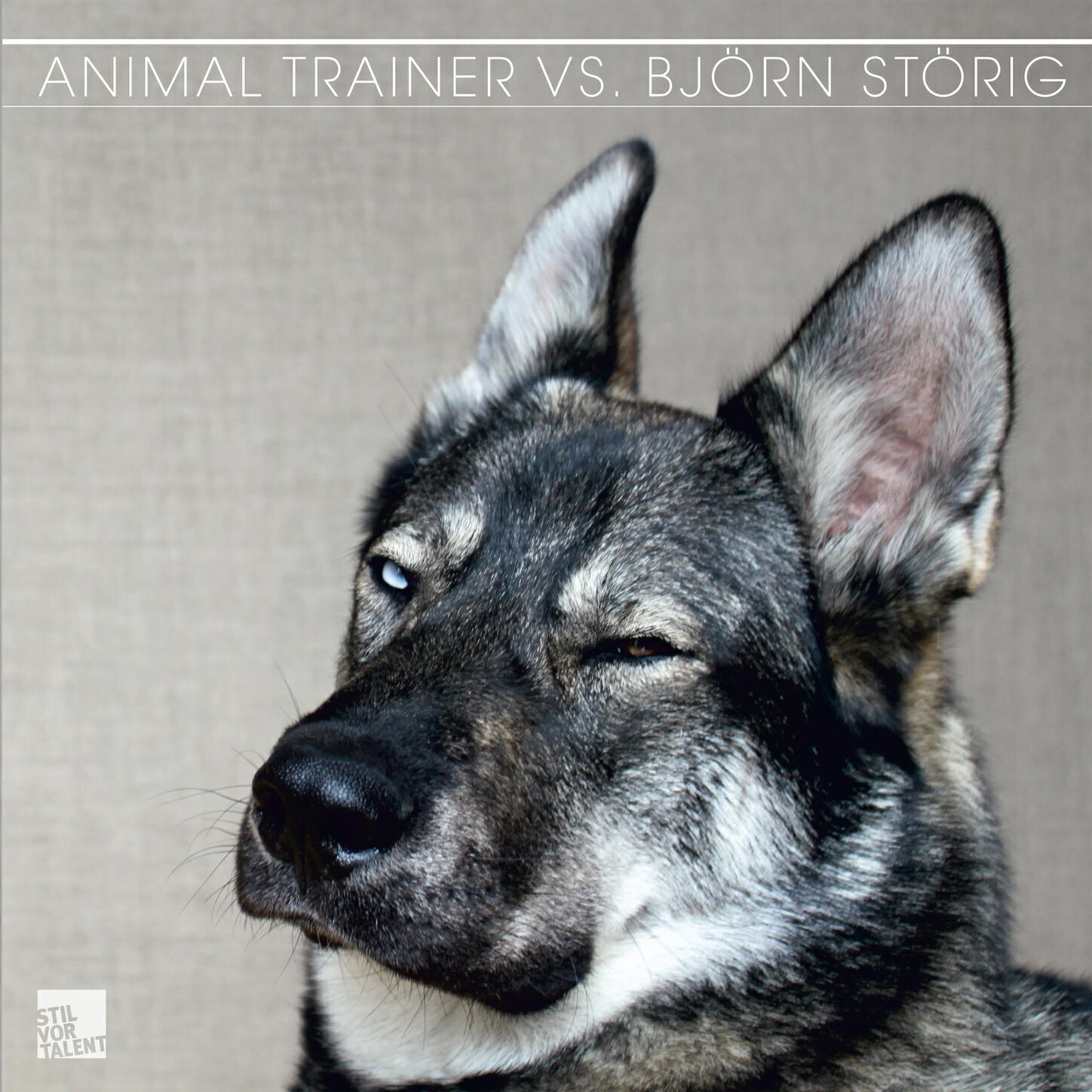 Релиз Animal Trainer vs. Björn Störig