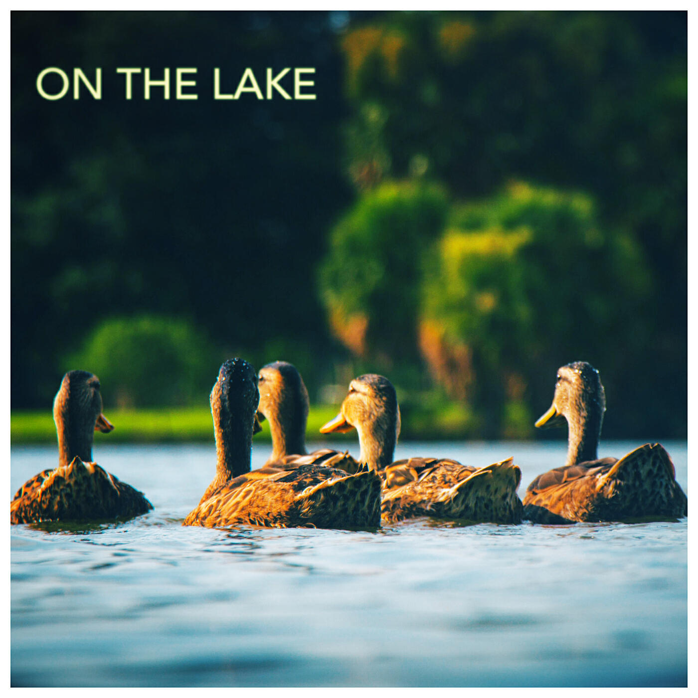 Релиз On the Lake