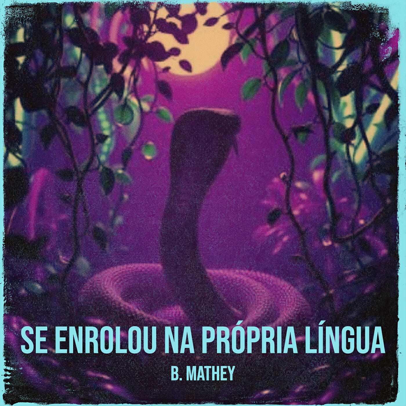 Релиз Se Enrolou Na Própria Língua