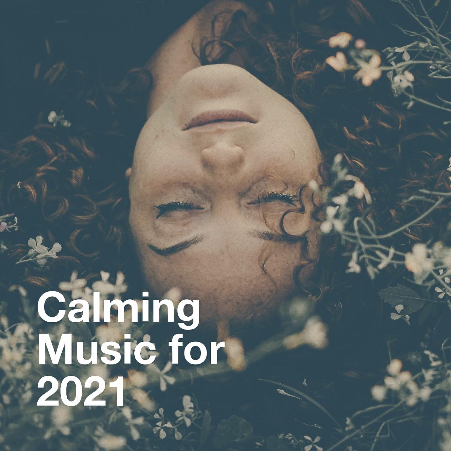 Релиз Calming Music for 2021