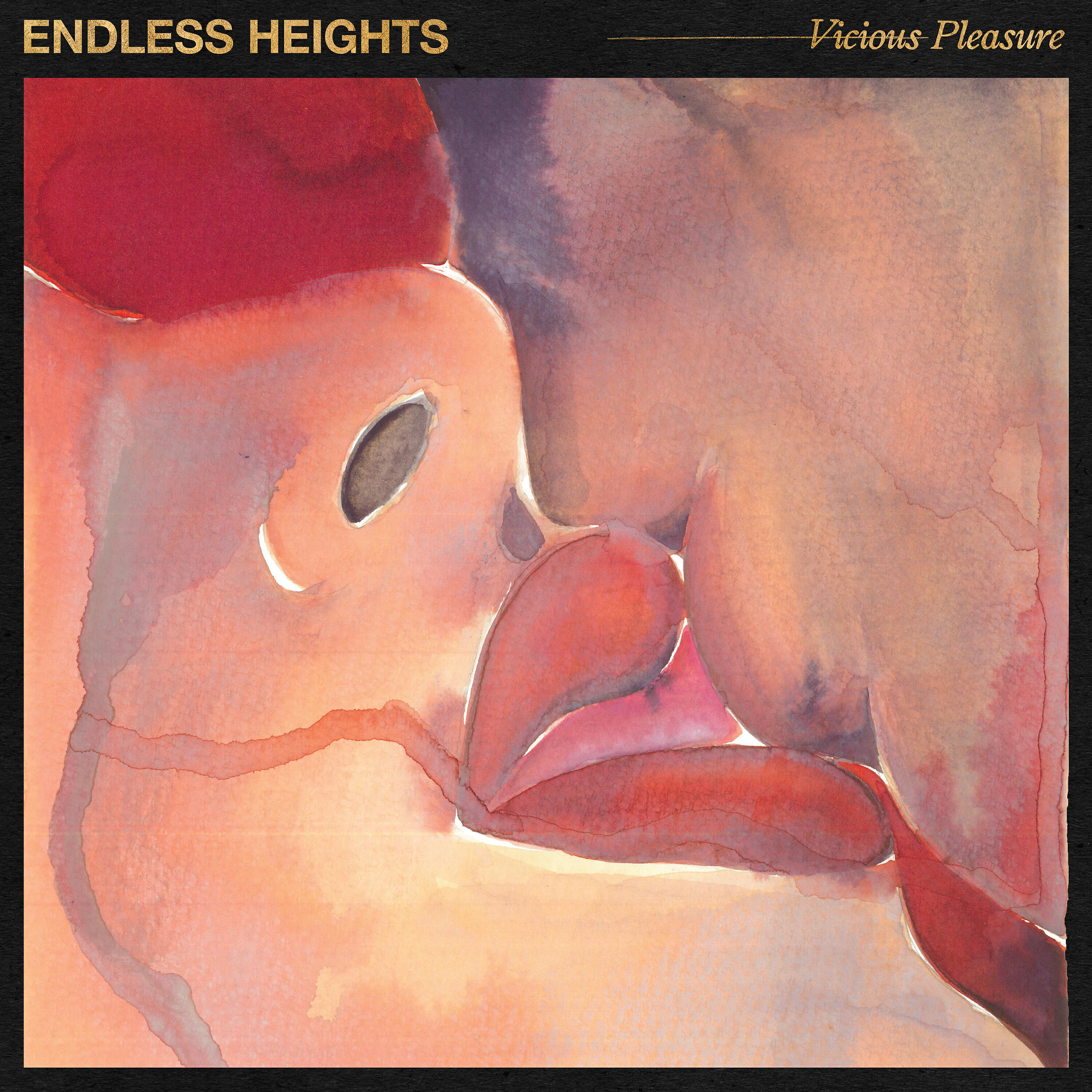 Релиз Vicious Pleasure