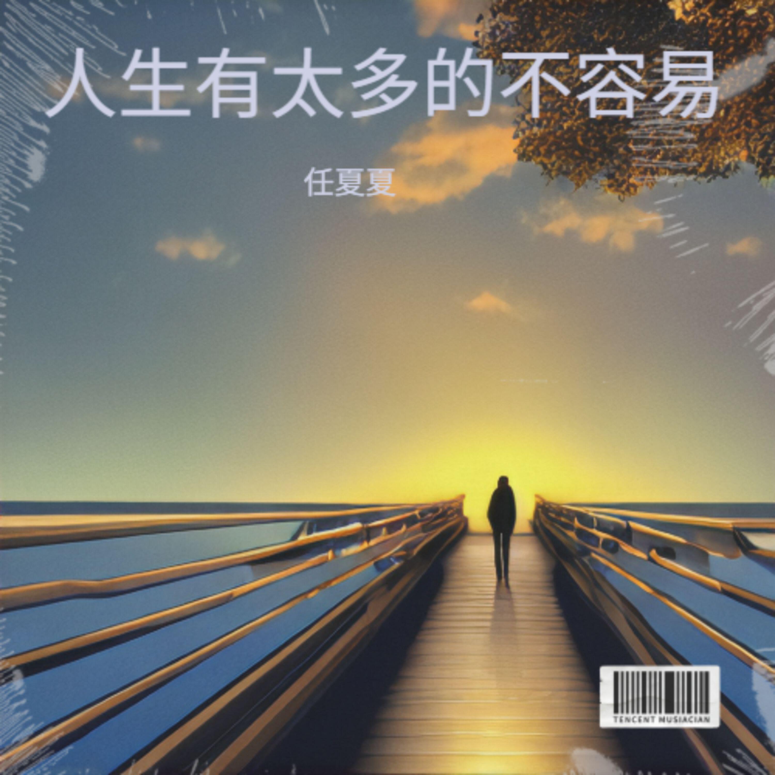 任夏夏
