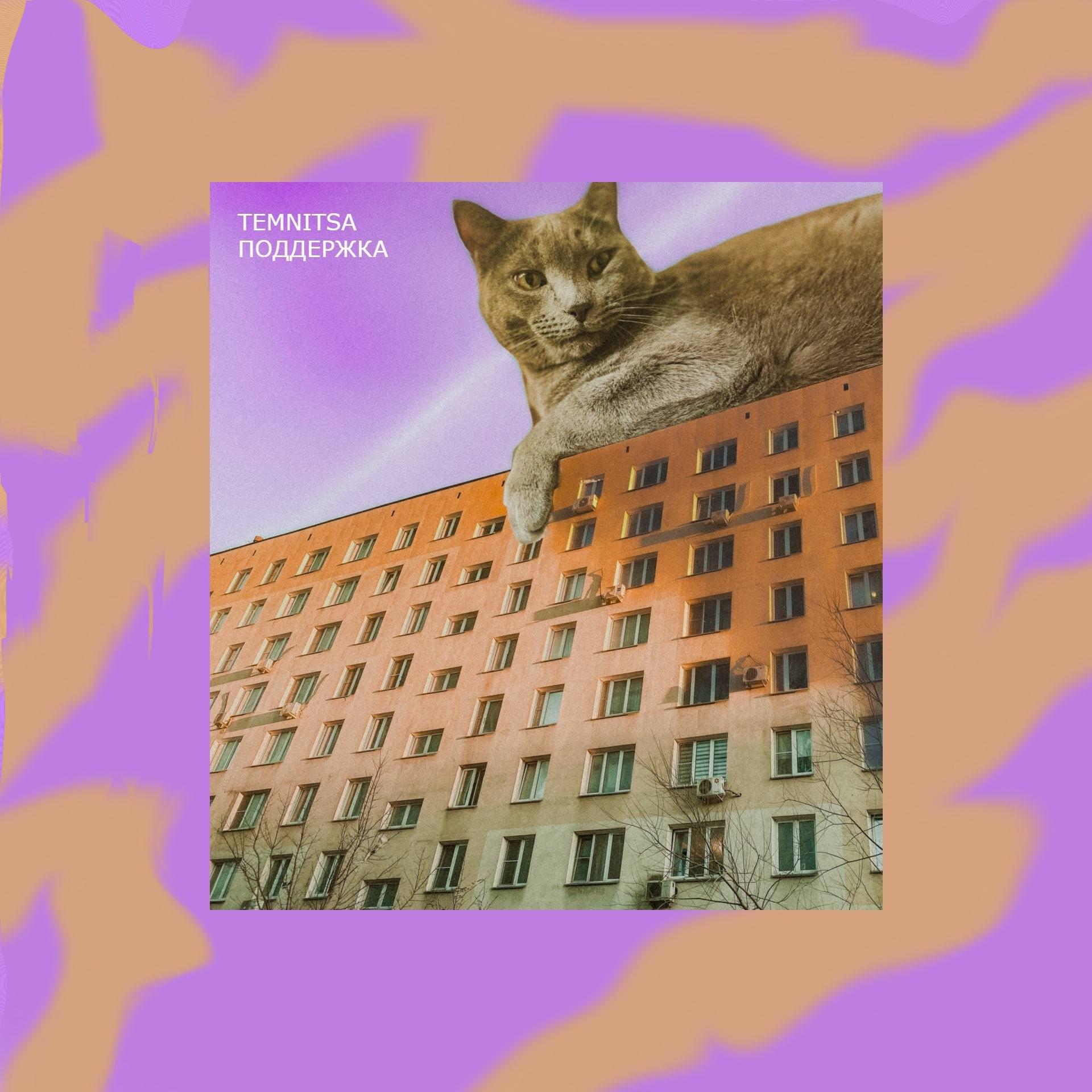 Релиз Поддержка