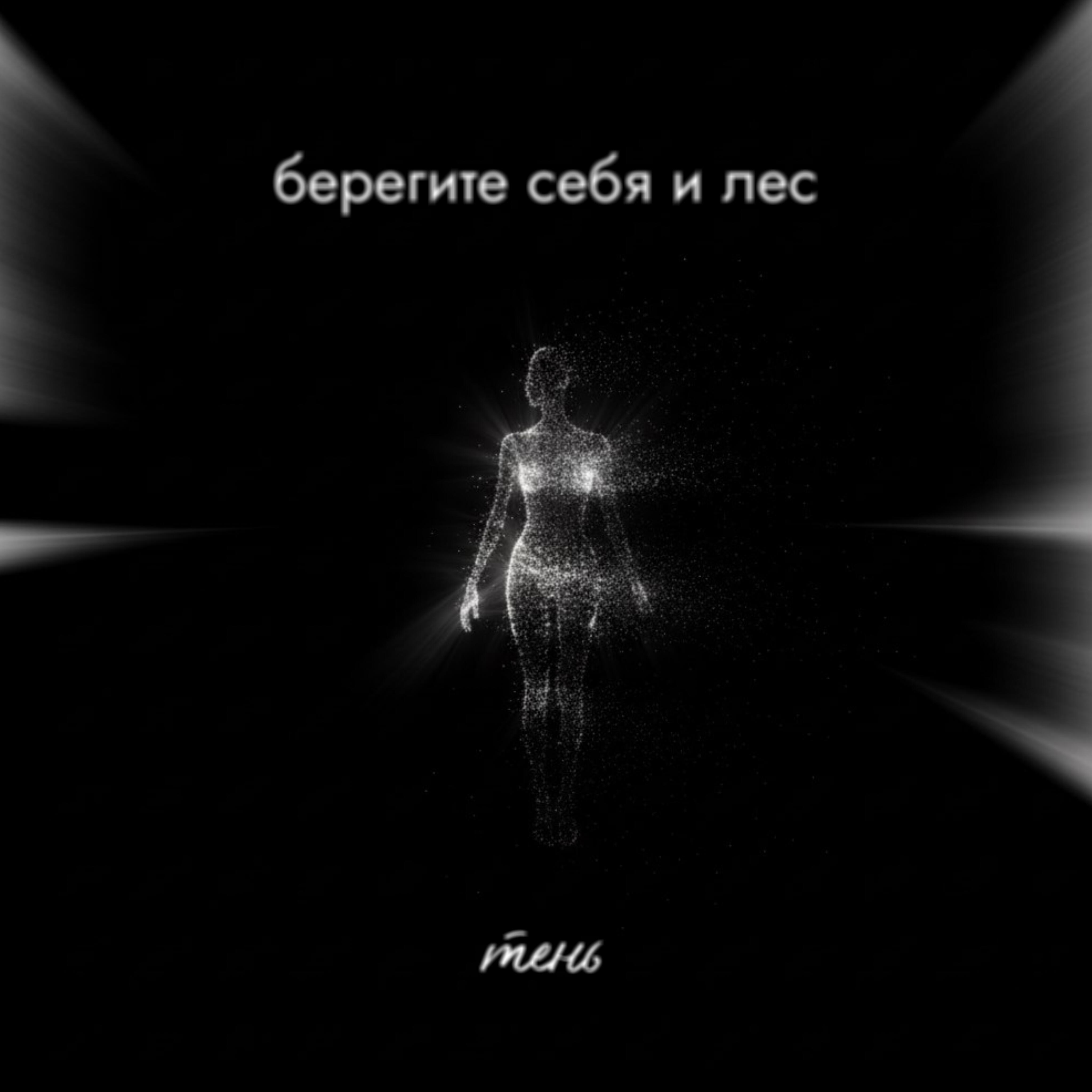 Релиз Тень