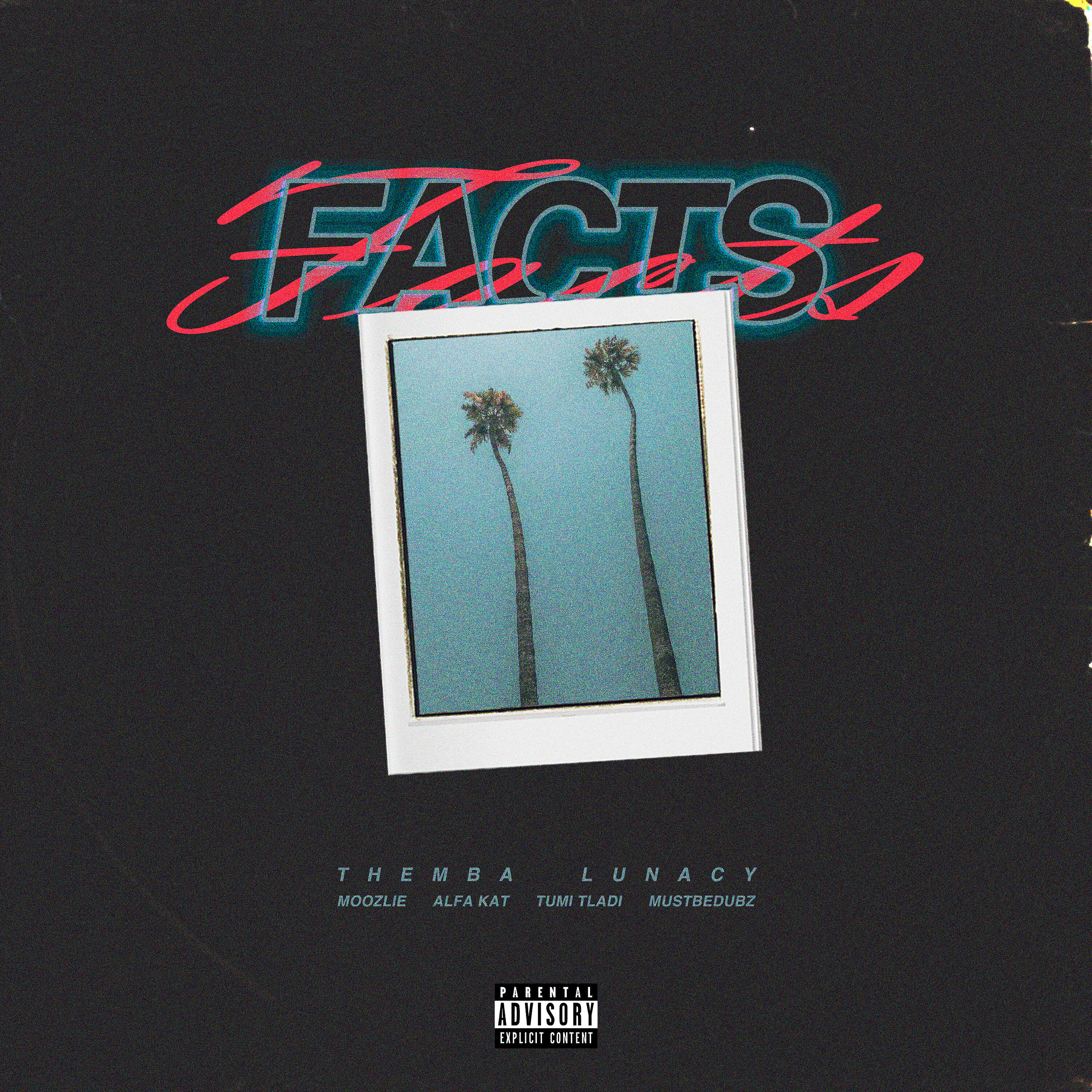 Постер альбома Facts