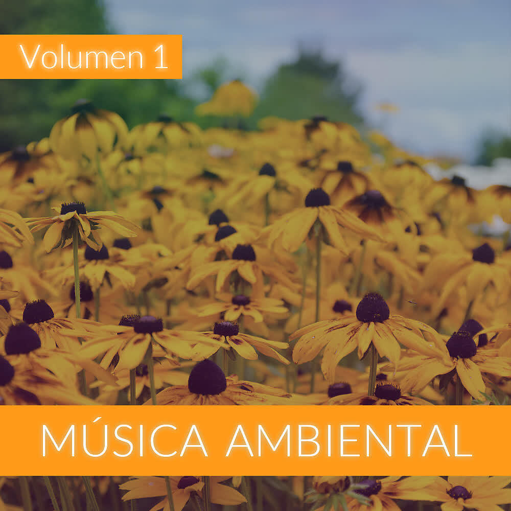 Релиз Música Ambiental (Volumen 1)